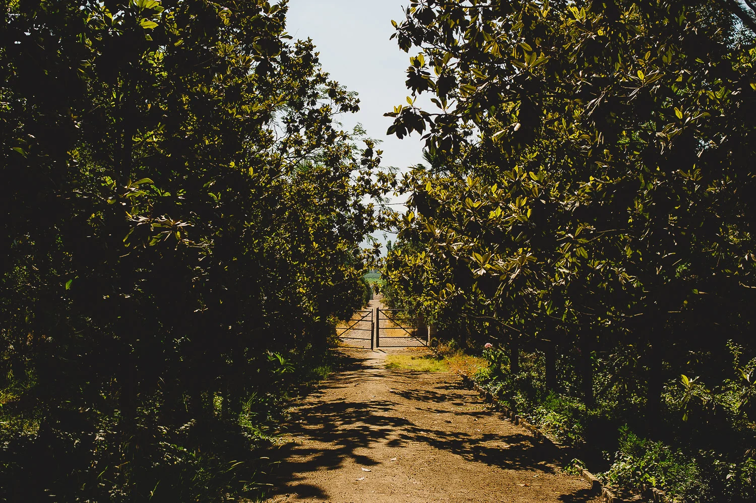 matrimonio-campo-3.jpg