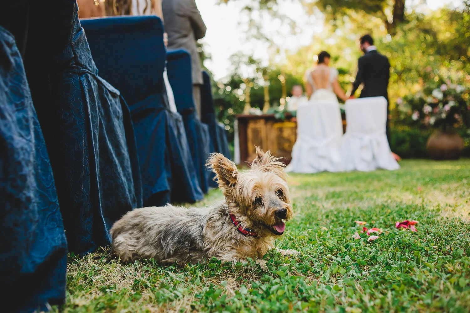 matrimonio-campo-59.jpg
