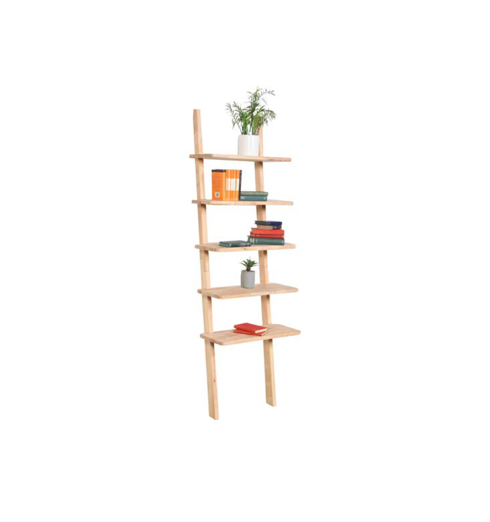 Scandi leaning bookcase.png