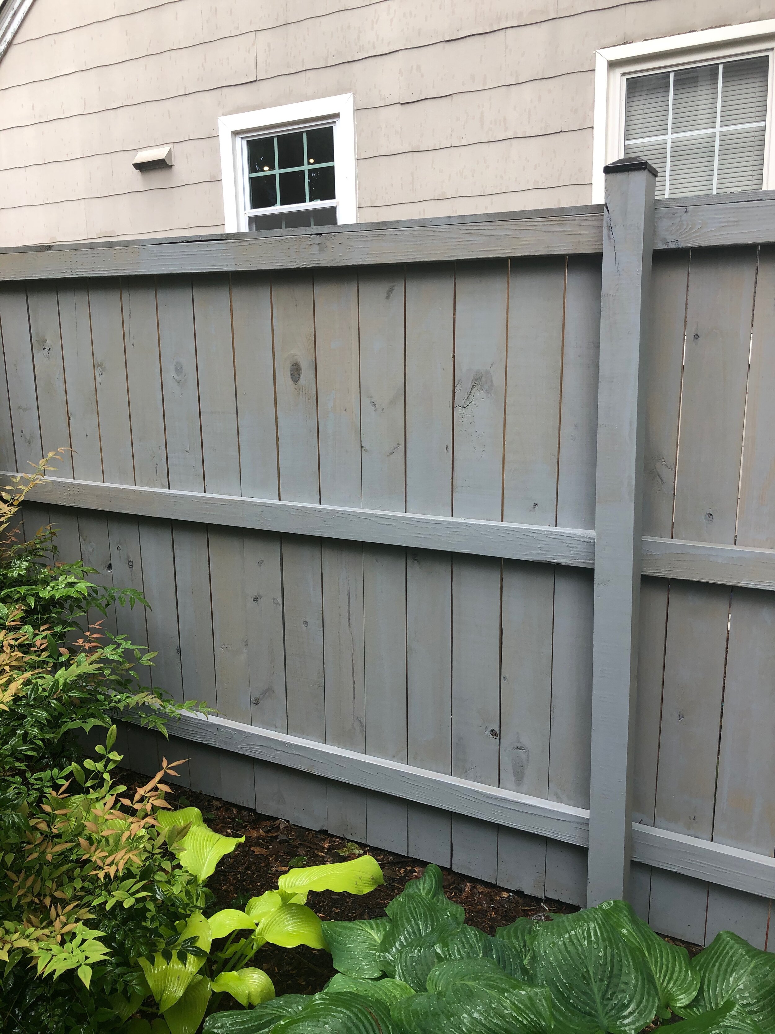 Newly Stained Fence