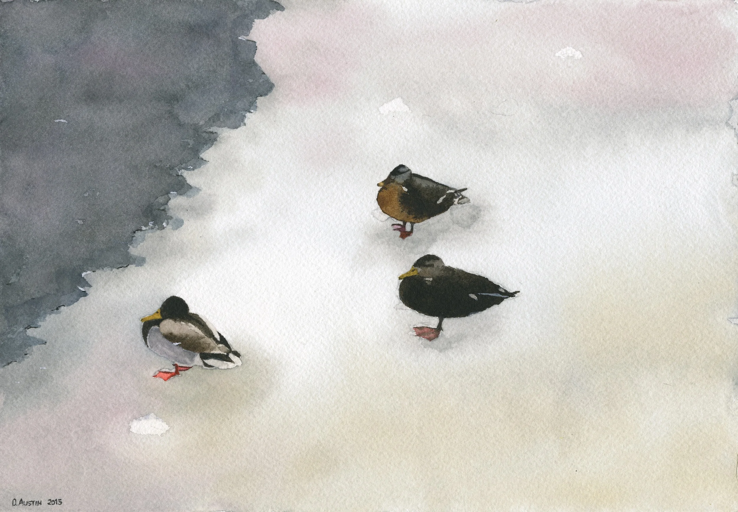 Three Ducks in frozen Muddy River