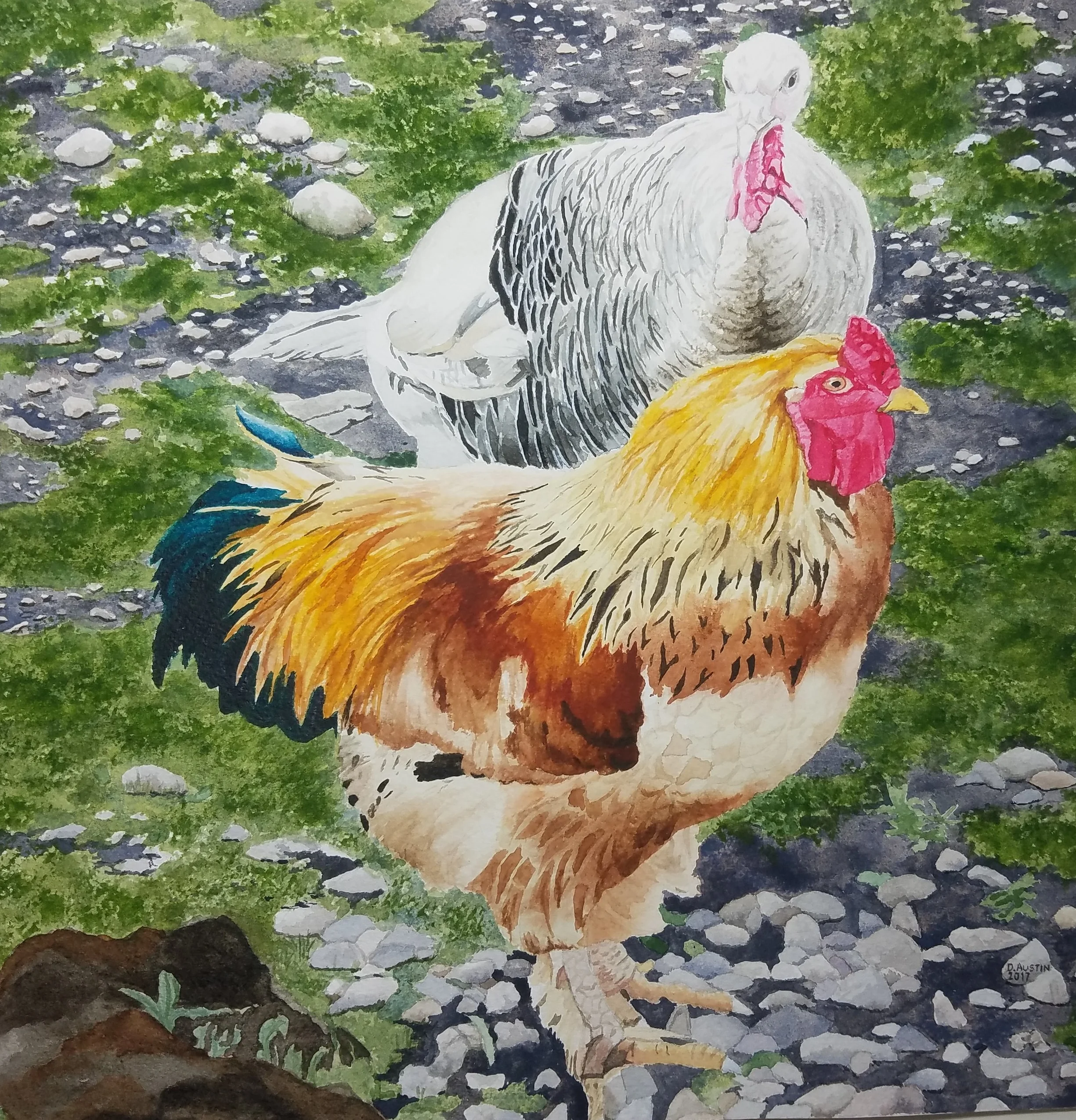 rooster and turkey.jpg