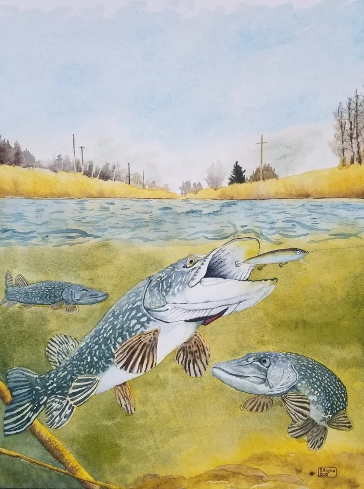 Pike fishing (2).jpg