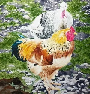 Rooster and Turkey.jpg