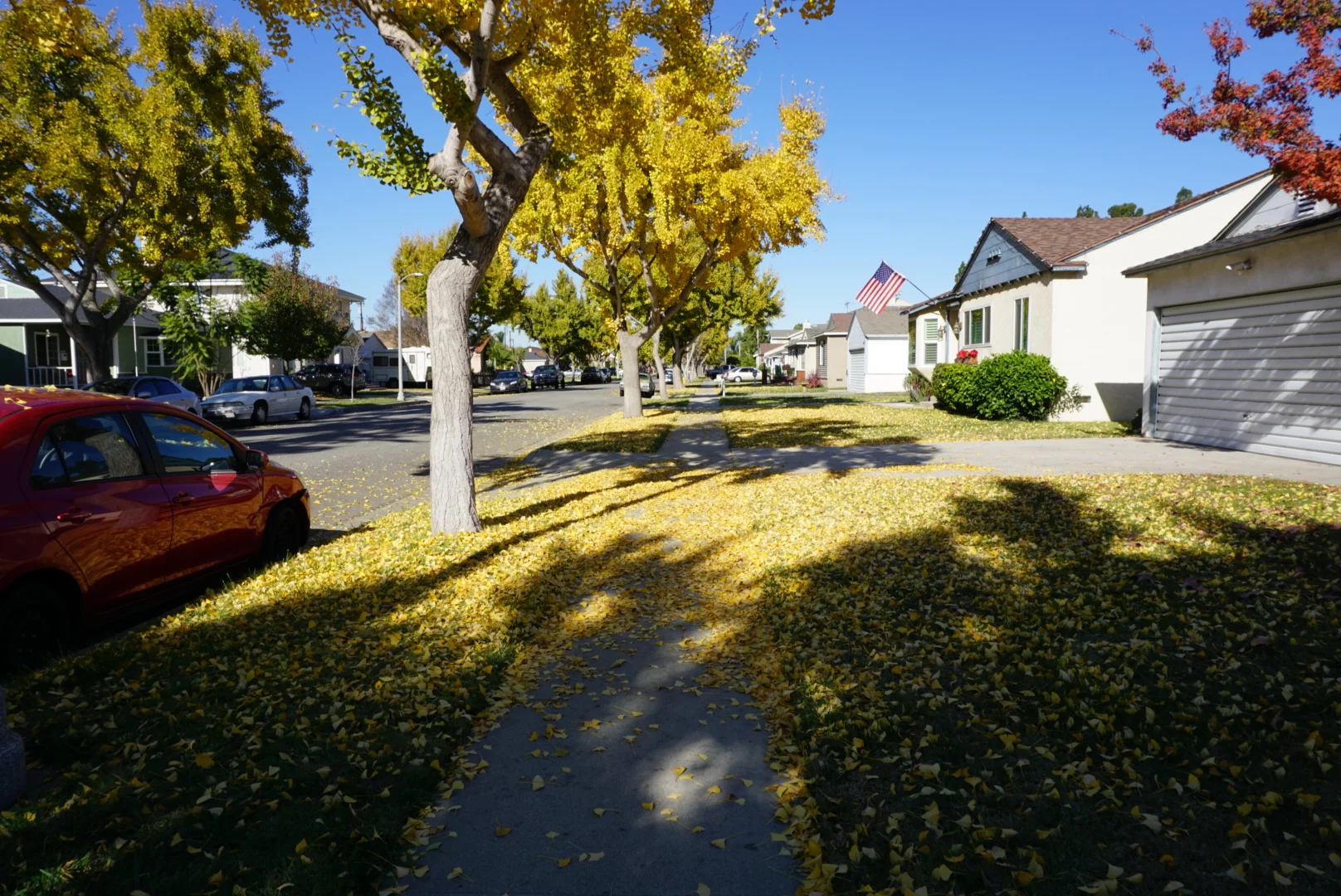 LBC