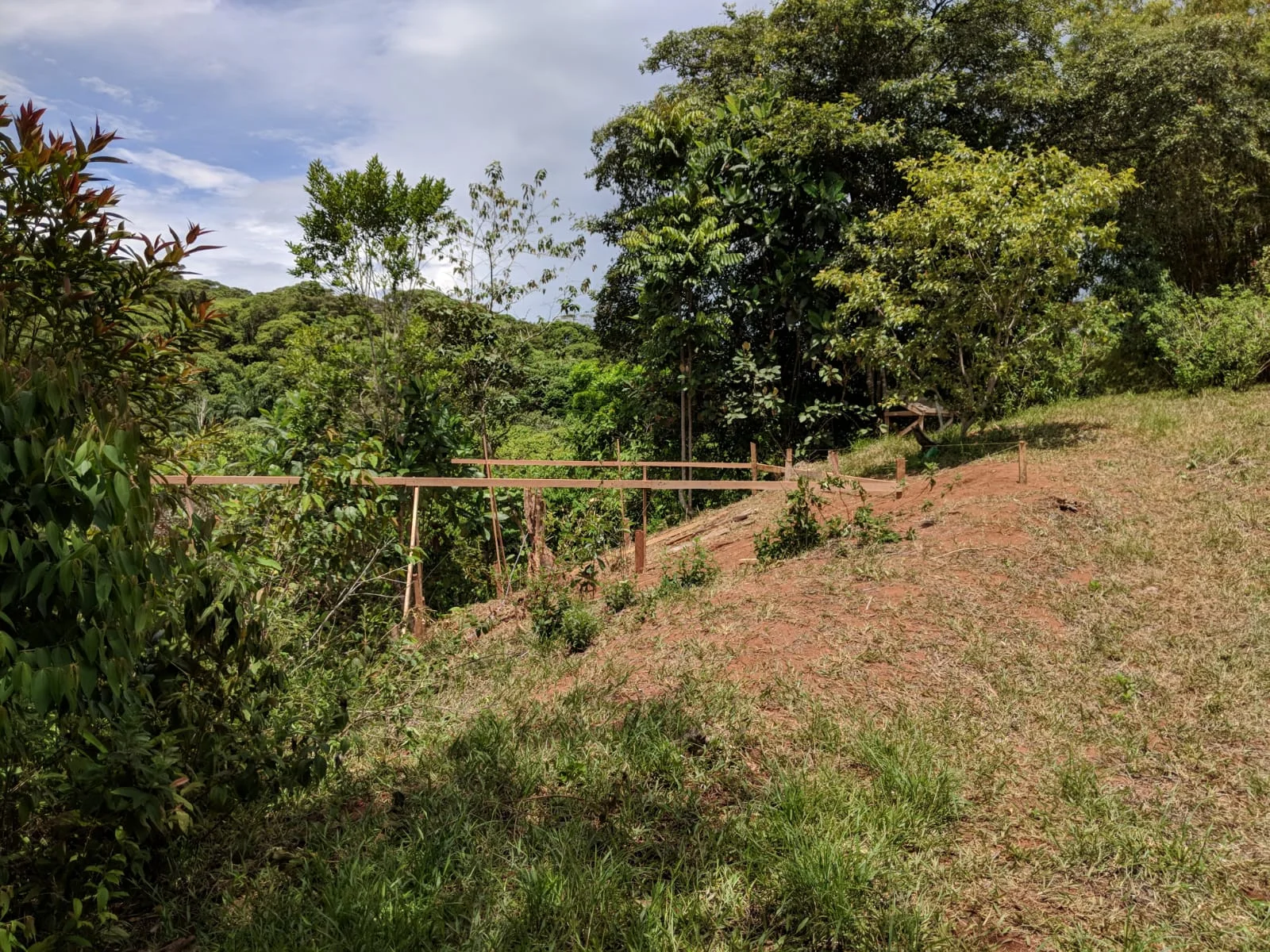 And we started staking out some of the back cabins. Each cabin will be separate and private, with outstanding views of the surrounding canopy. You will feel like you are flying.
