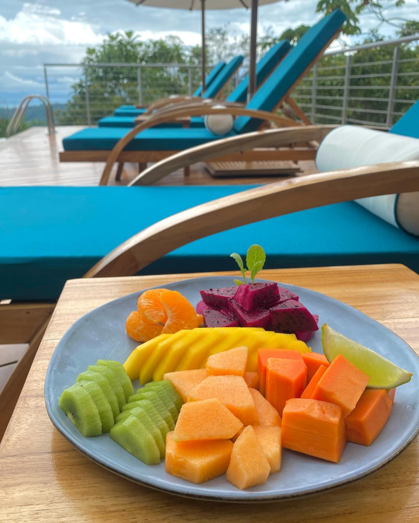 Nourish your body &amp; deepen your connection to nature with fresh ingredients turned into edible art. 

Your stay with us includes three multi-course meals, snacks, infusions, and sunrise coffee &mdash; all made from scratch daily. 
.
.
.
.
.
#drea