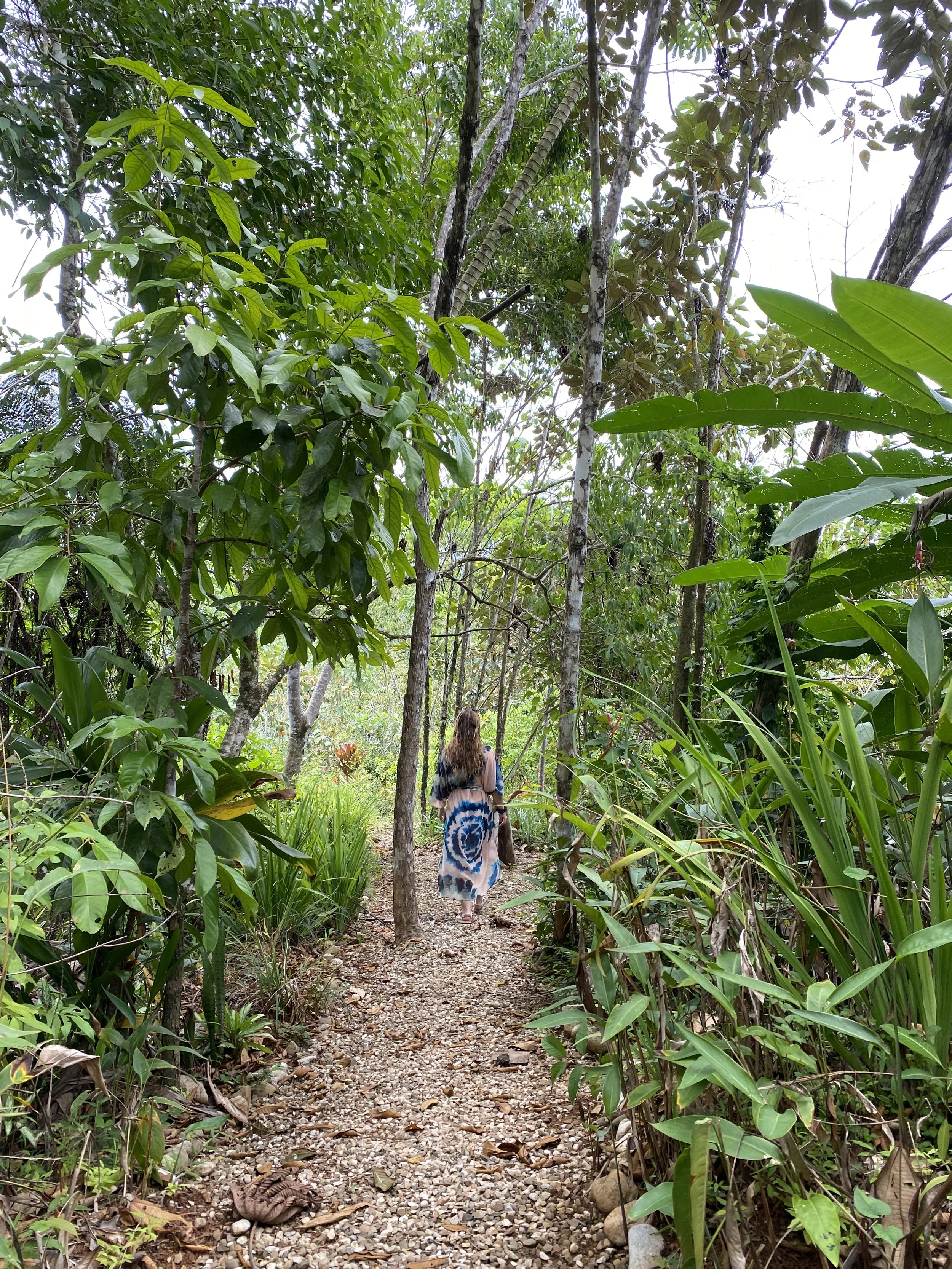 Find Your Center in the Rainforest: Unveiling the Power of Grounding at Cielo Lodge