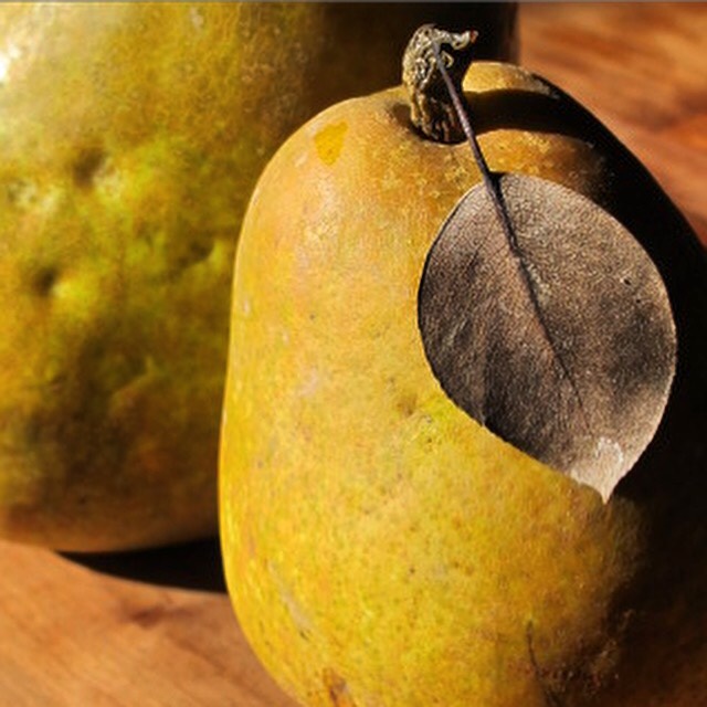 Warren Pear