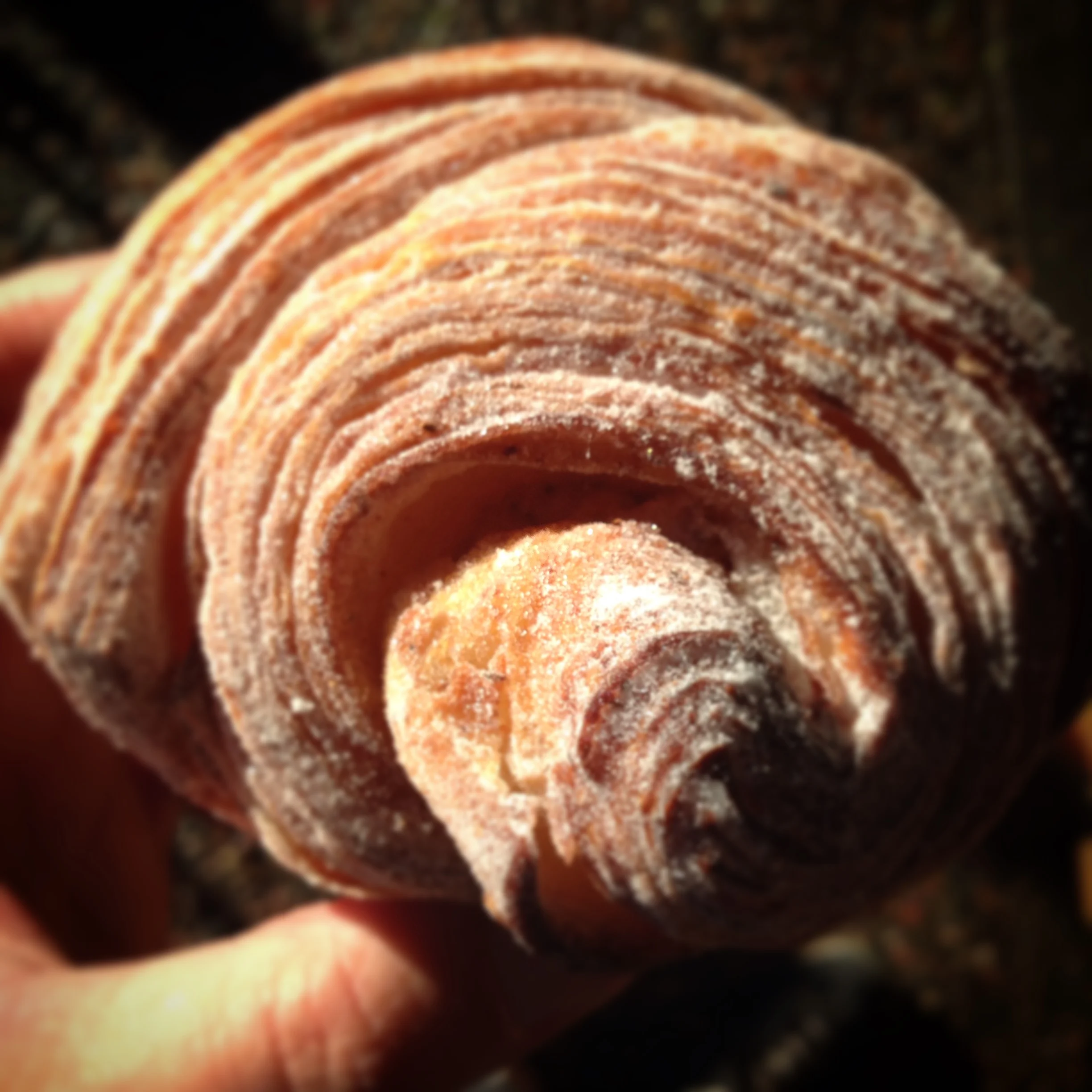 On a Mission for the Best Morning Buns