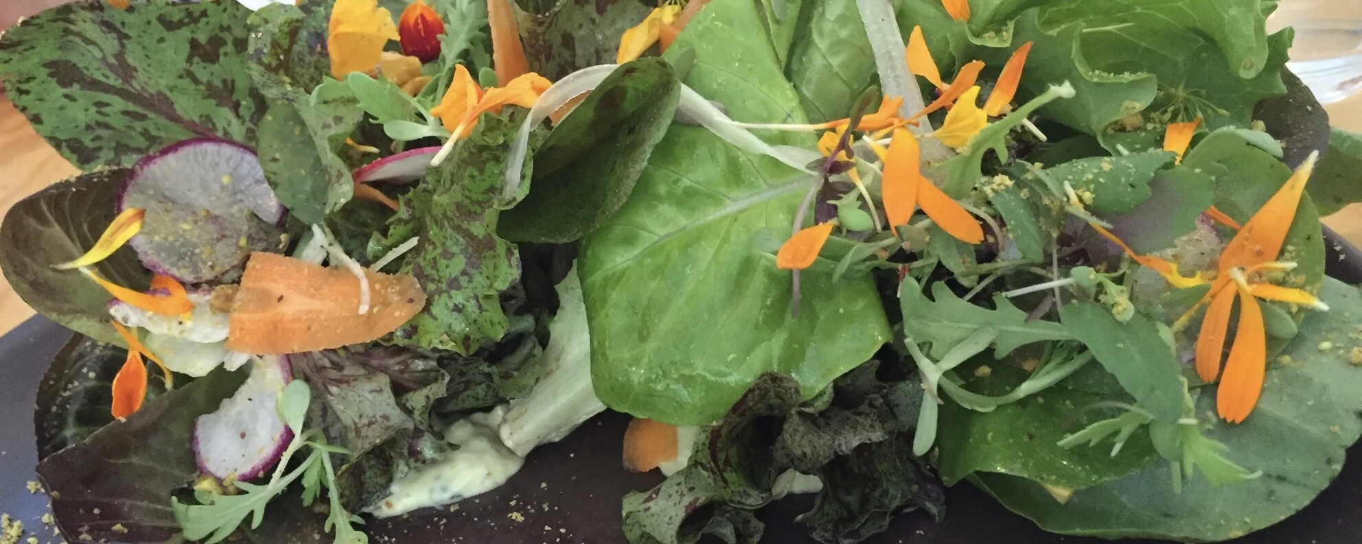 Baby Lettuces, Herbed Avocado, PIstachio Crumble - gorgeous flavors, eaten with our hands