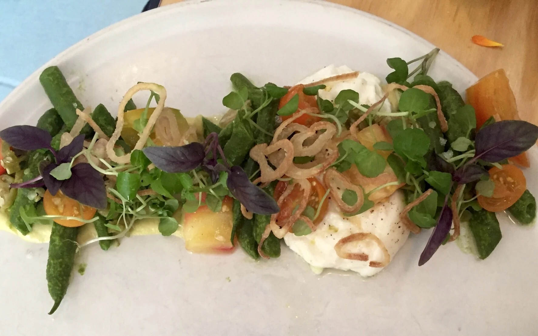 Chilled Green Bean Casserole, Burrata, Tomato, Basil, Pickled Padrons - loved this dish!