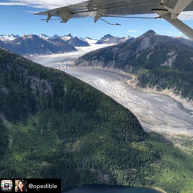 Repost from @opedible using @RepostRegramApp - On this 50th anniversary of Earth Day, let&rsquo;s remember to protect Mother Earth through our own daily actions and our power at the ballot box. Vote for science, renewable energy, green initiatives, a
