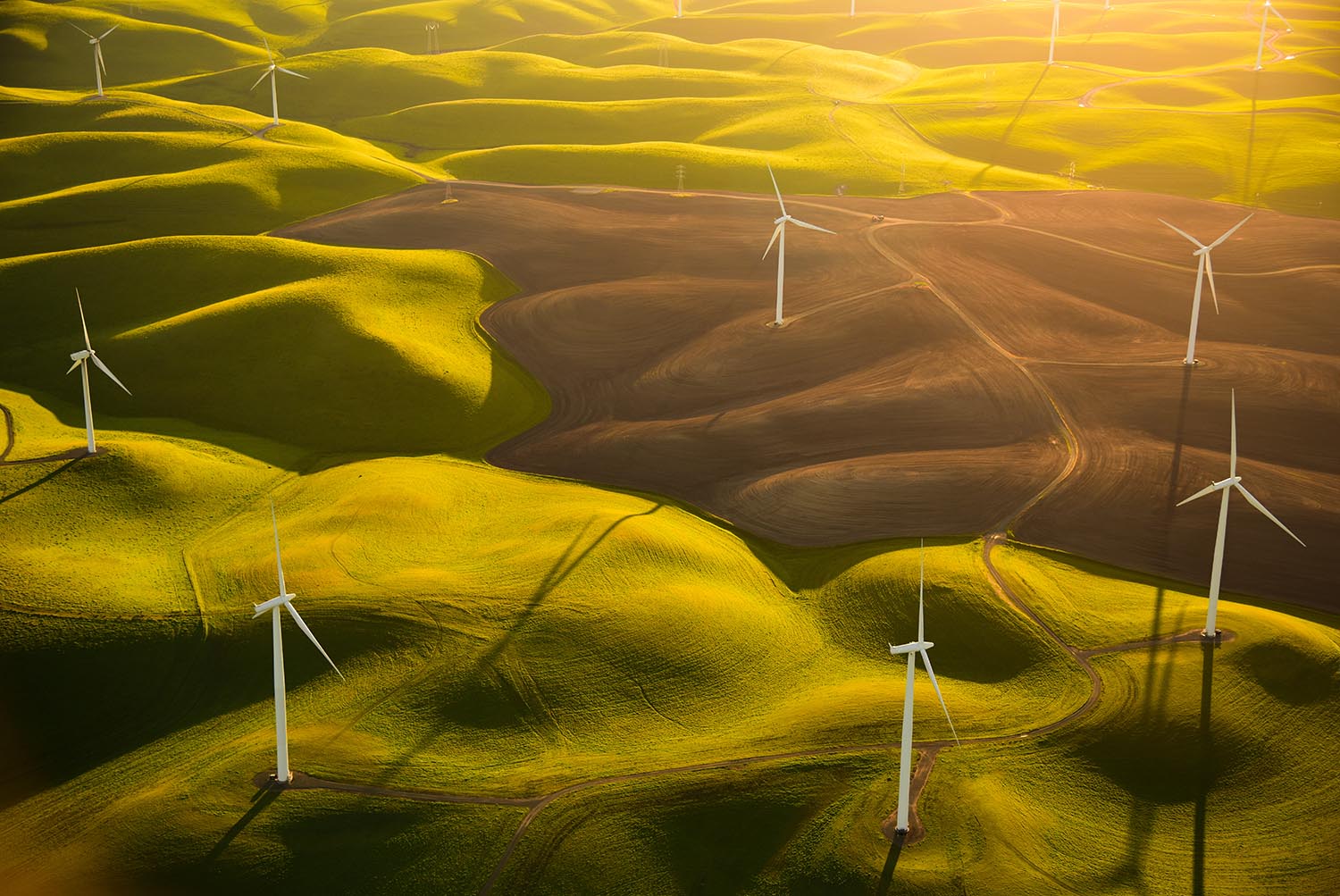 This photo was printed in National Geographic U.S., National Geographic España, & National Geographic Taiwan.