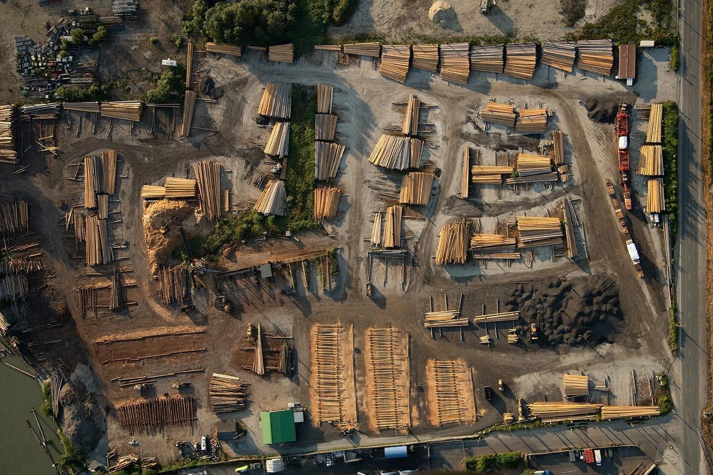 Delighted to share that my foto the Value of Trees was selected as a finalist by the Royal Photographic Society’s Women in Science jurors. Honored to have this image included alongside some incredible work - check out the full gallery via @rpsw