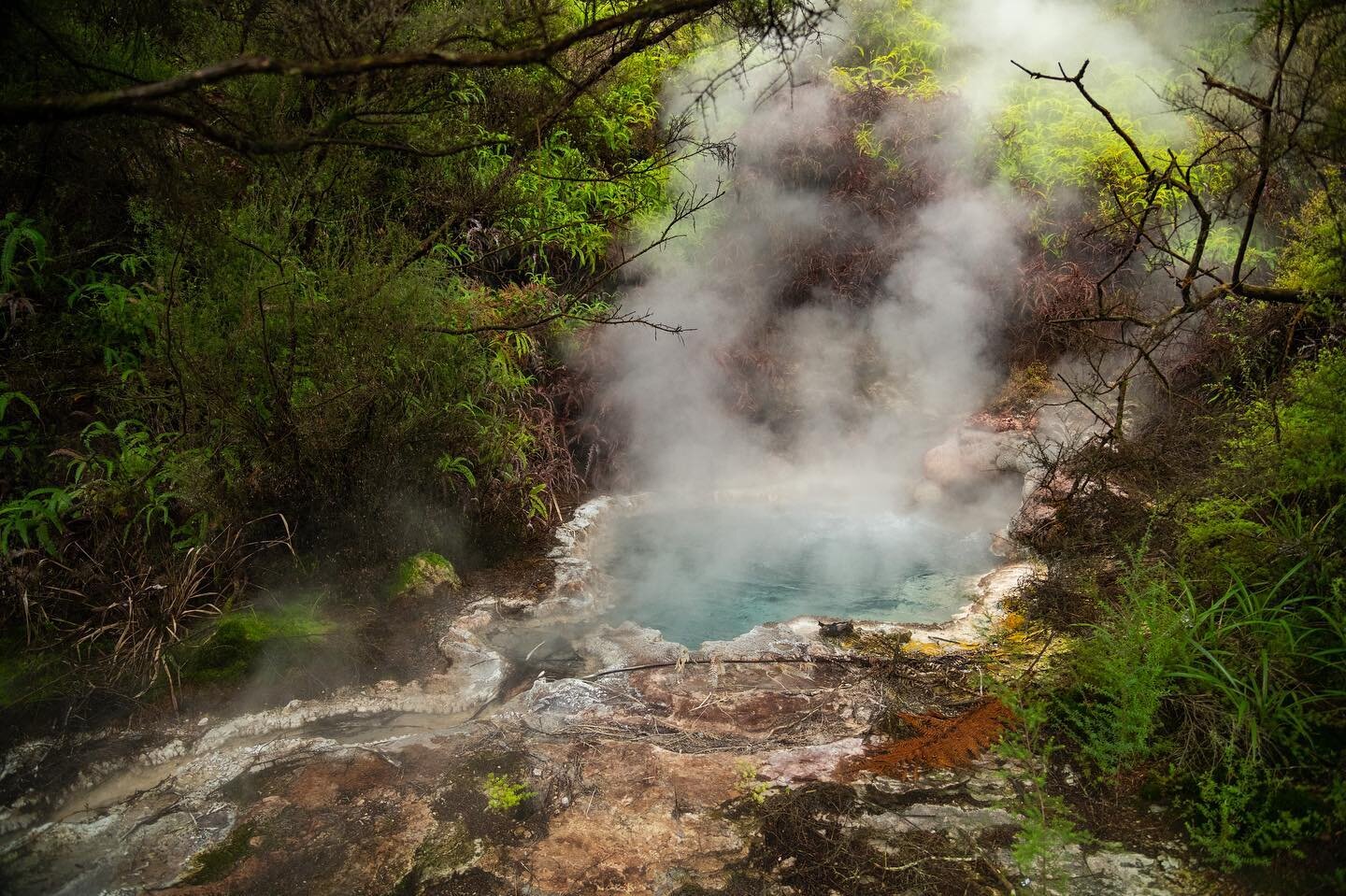 Geothermal. Fascinating to explore the many geothermal parks in New Zealand, home to geysers, steam vents, boiling pools and silica terraces exploding with vibrant colors. The colors are a result of the mineral-rich waters, algae and bacteria that th