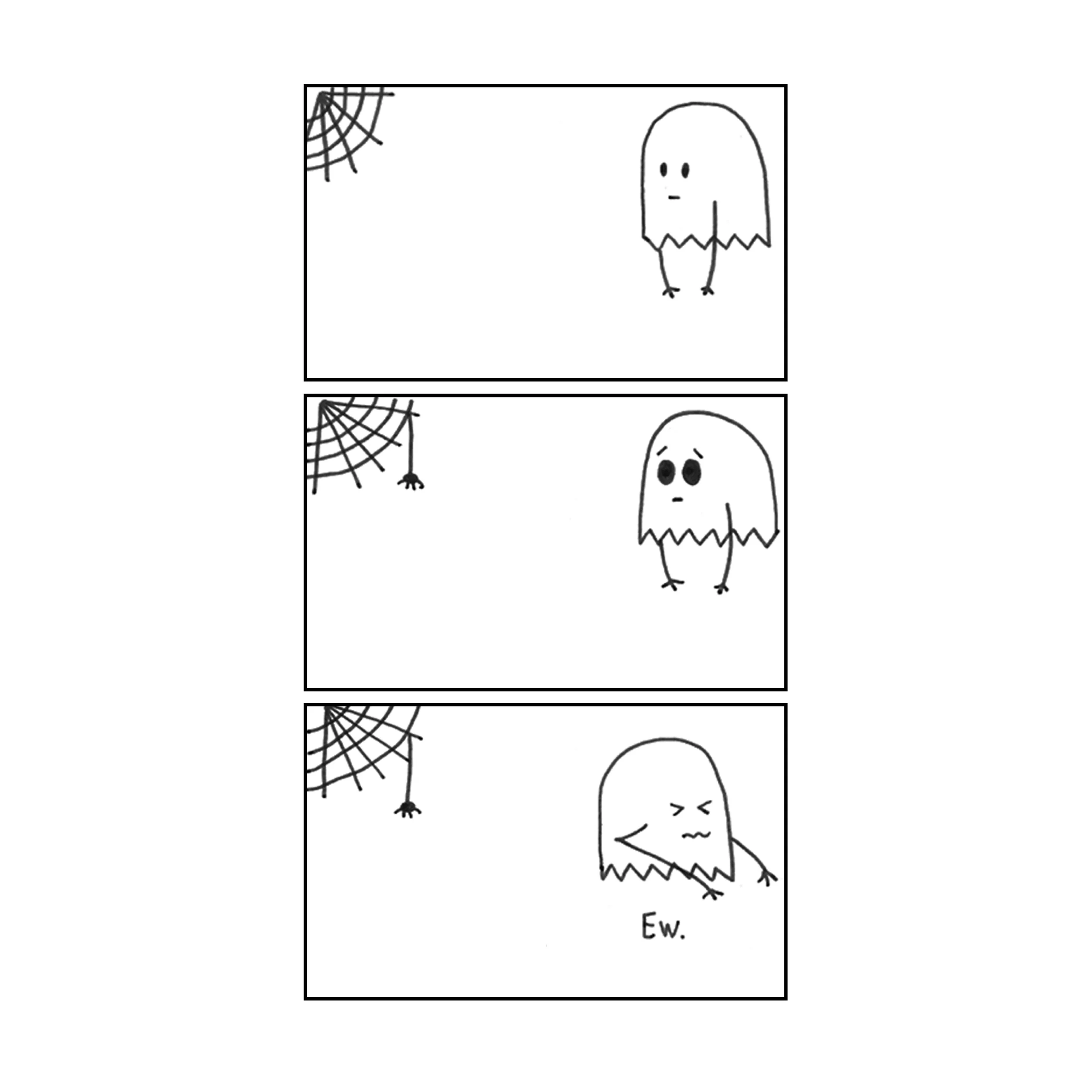spider_new-01.jpg