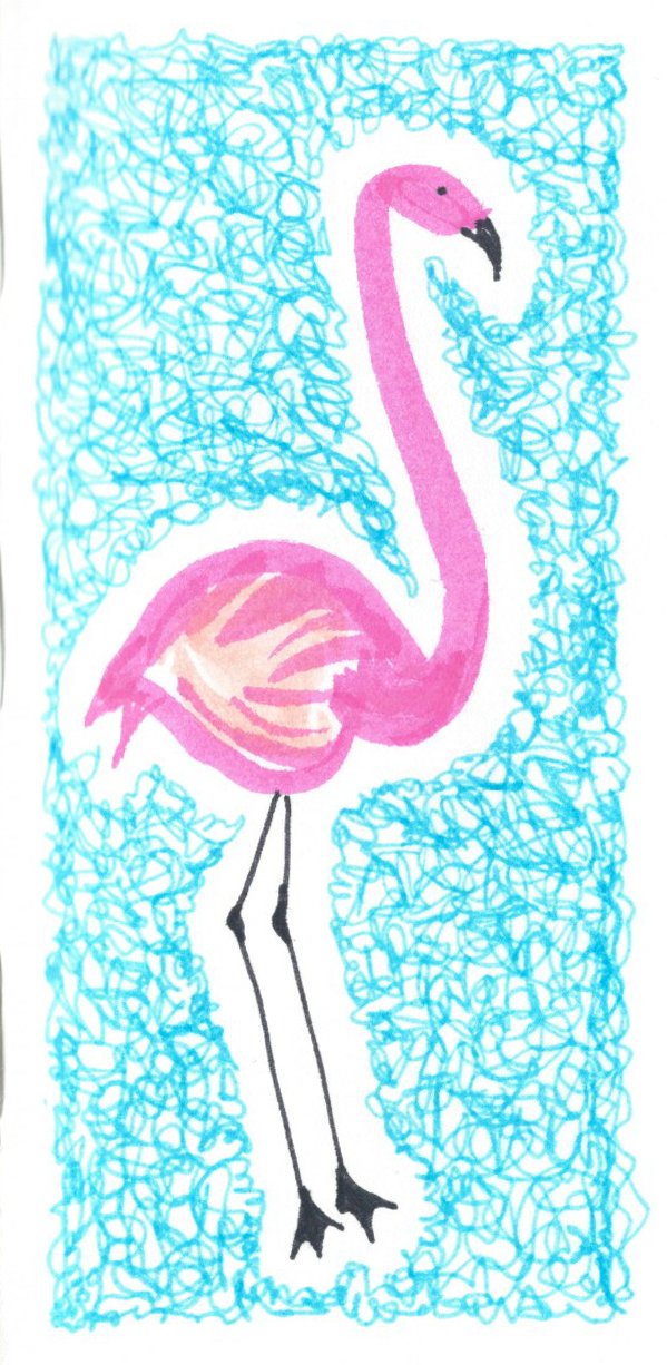 Flamingo.jpeg