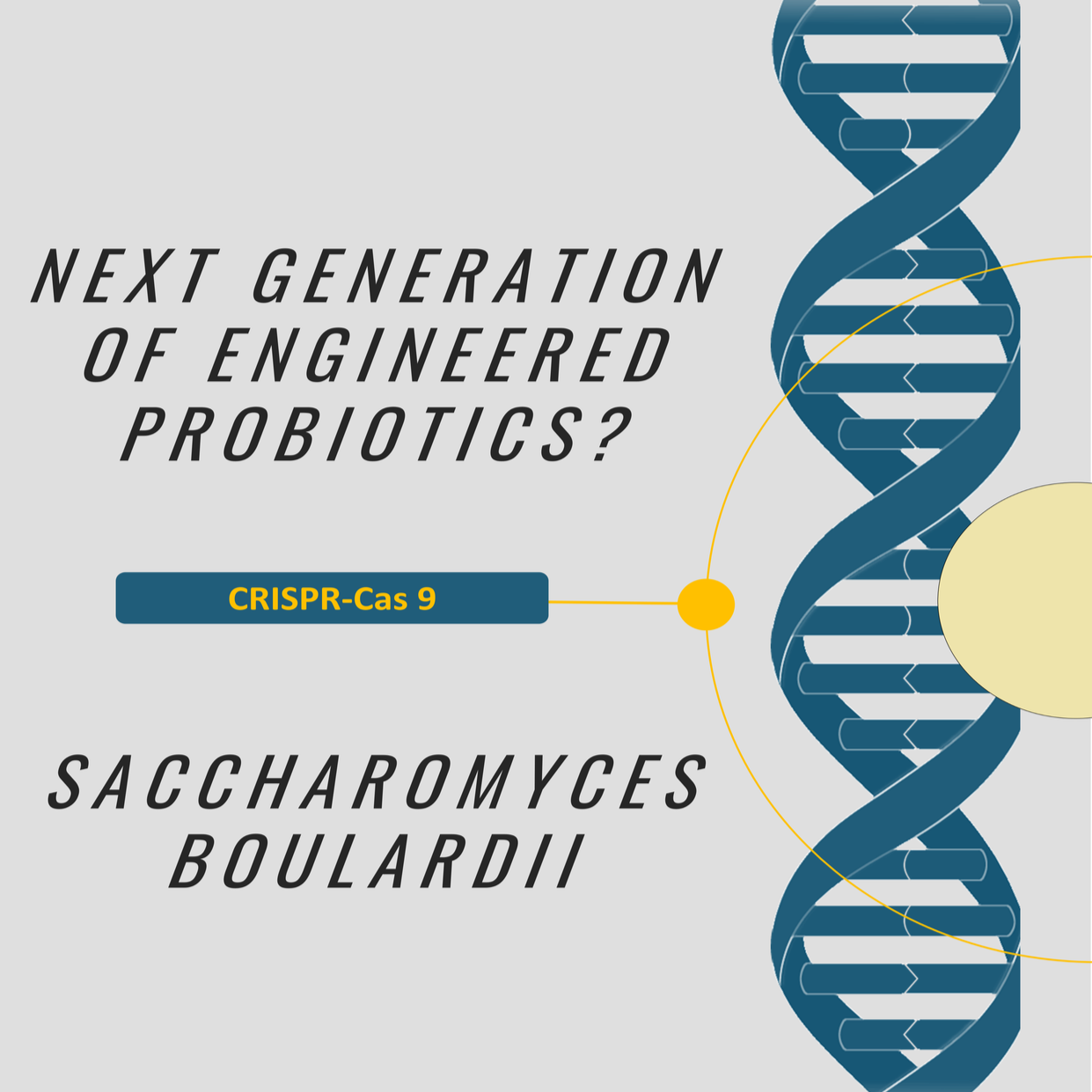 Can Saccharomyces boulardii lead the next generation of engineered probiotics?