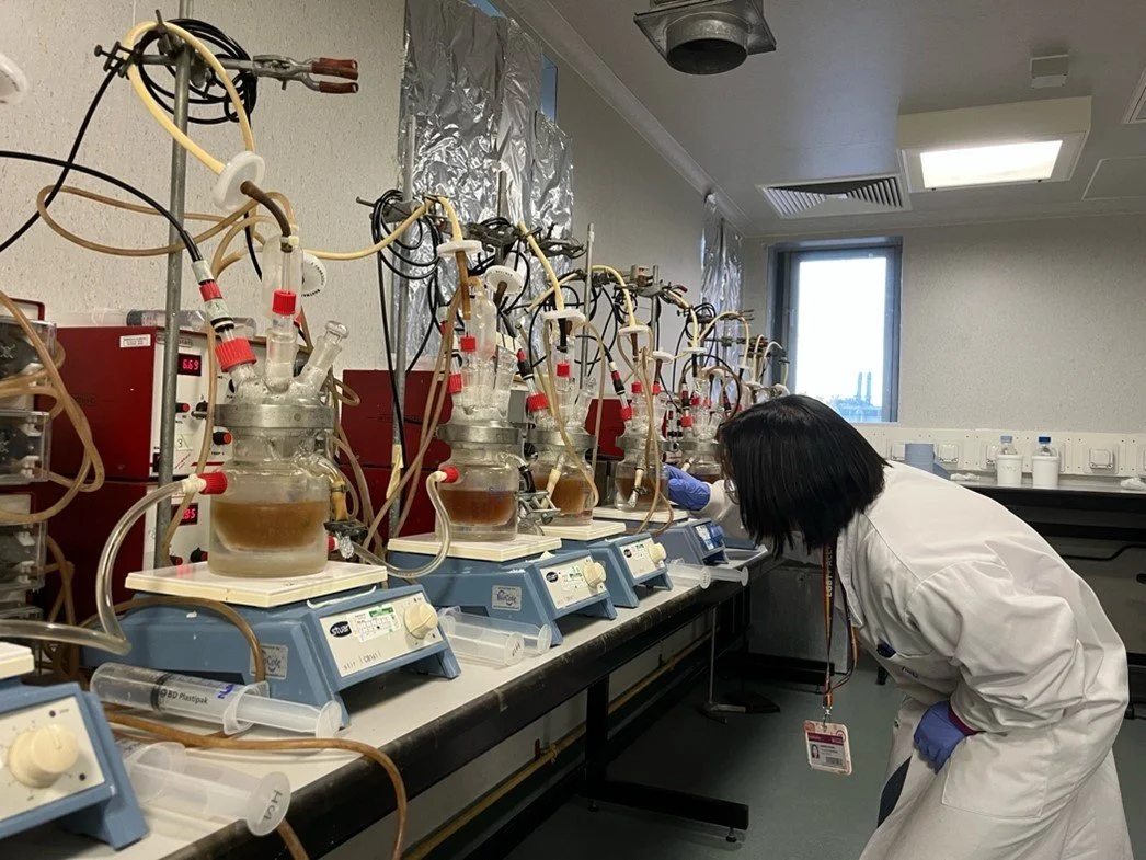 More than just a stomach ache: how my father’s struggle led me to the microbiome