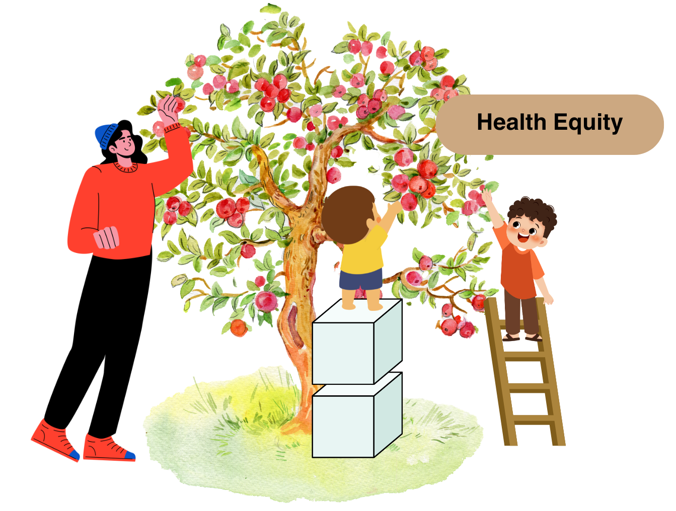 A dietitian’s take on the science behind the 2025-2030 Dietary Guidelines for Americans