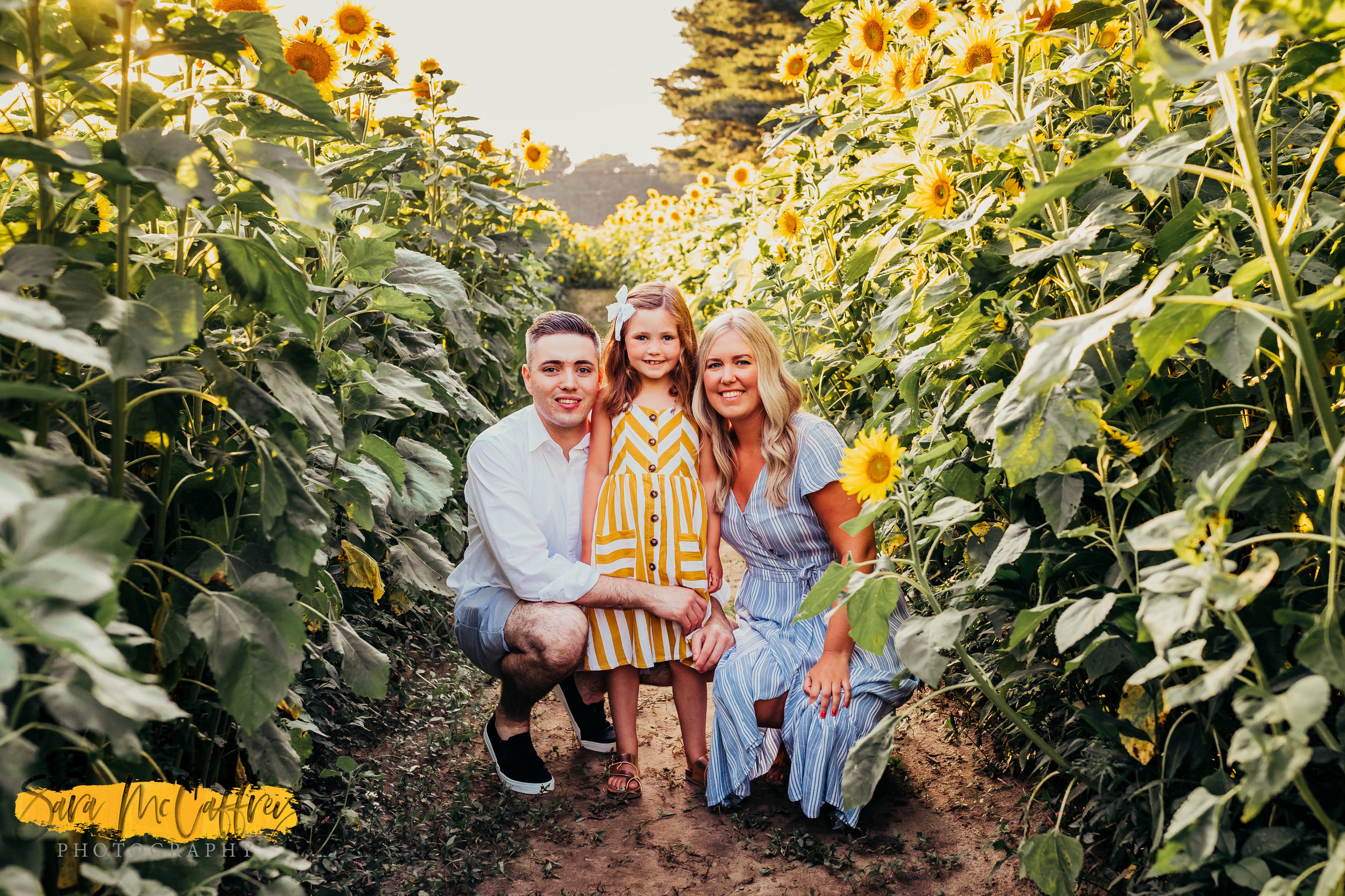 Sunflower Mini Sessions Summer 2019 South Jersey Sunflower Mini Sessions Summer 2019