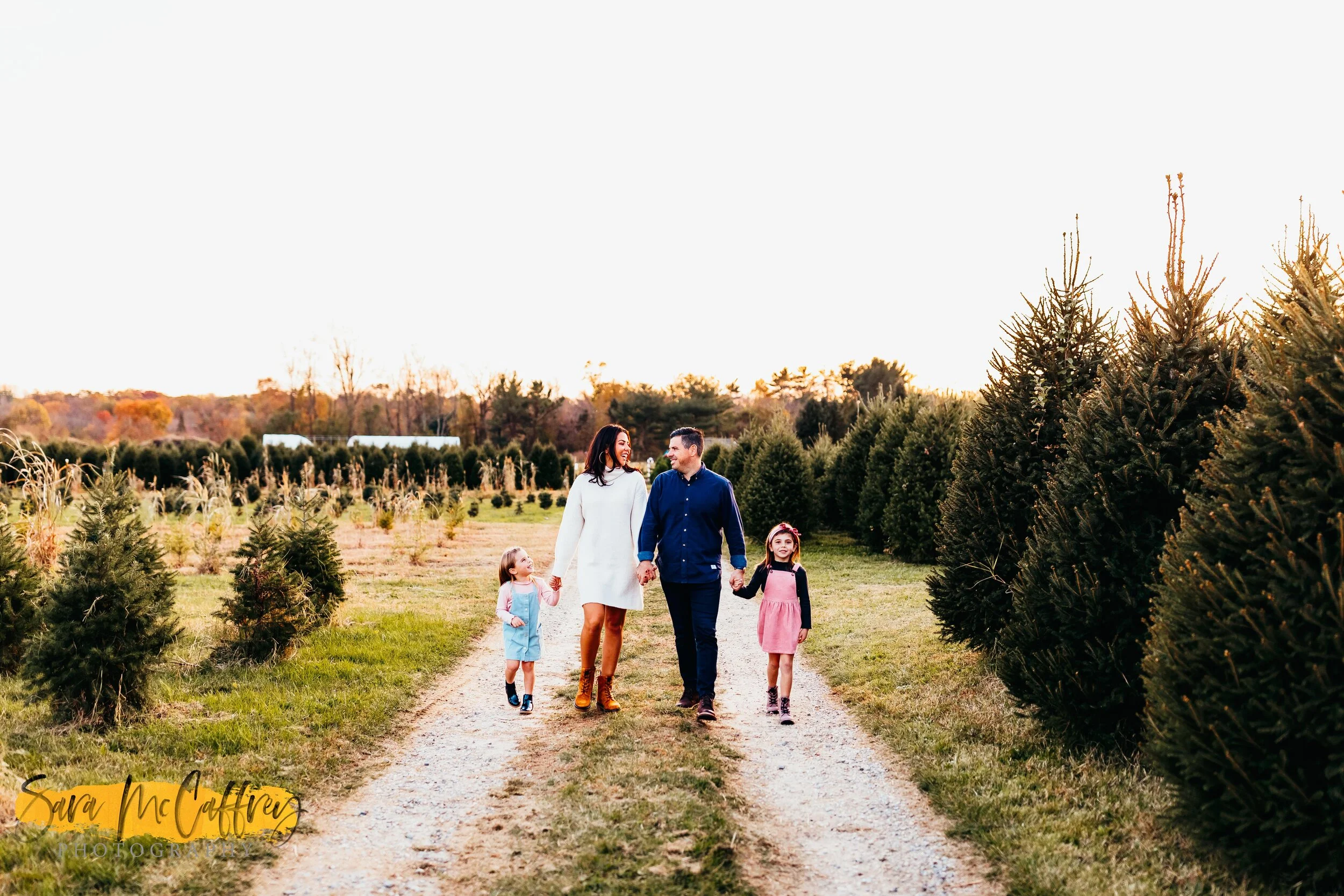 Tree Farm Mini Sessions | South Jersey Photographer