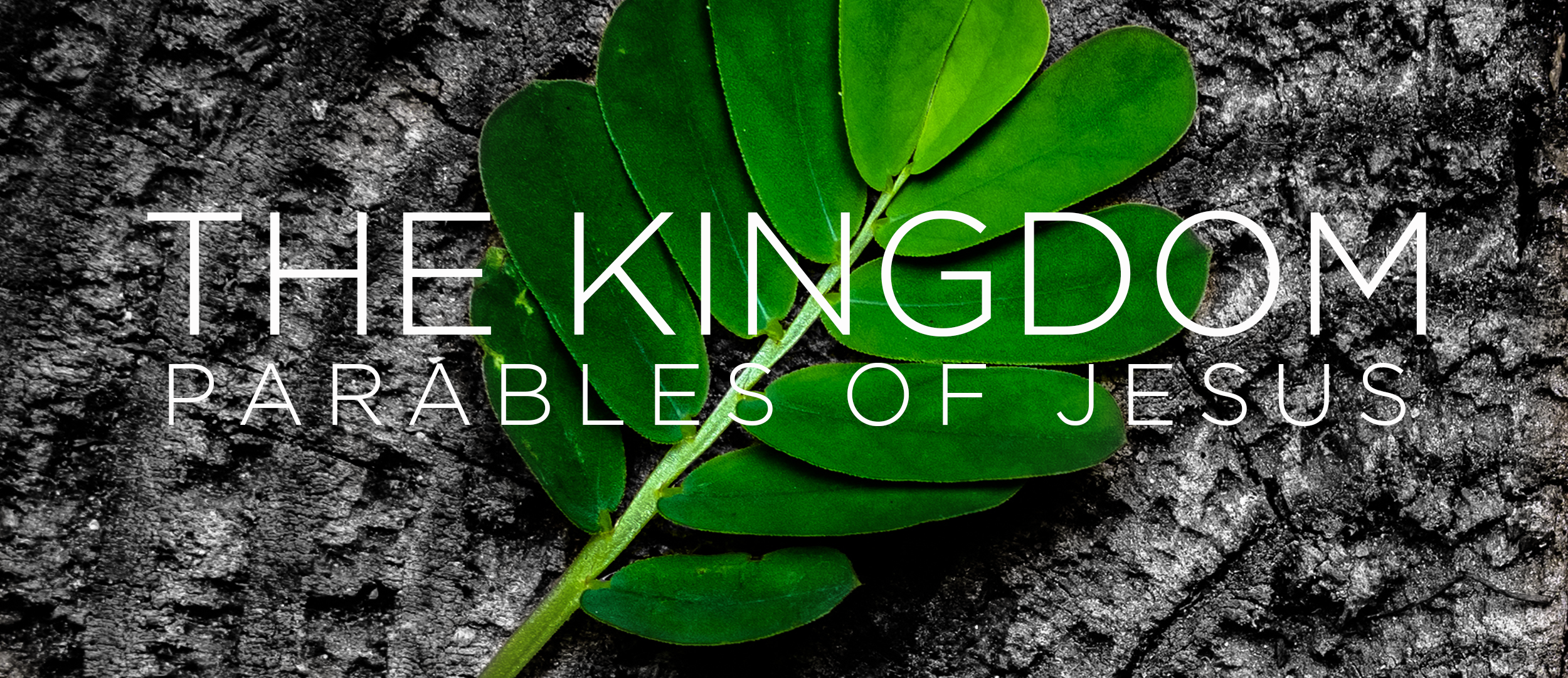 Kingdom Parables Website slider.png