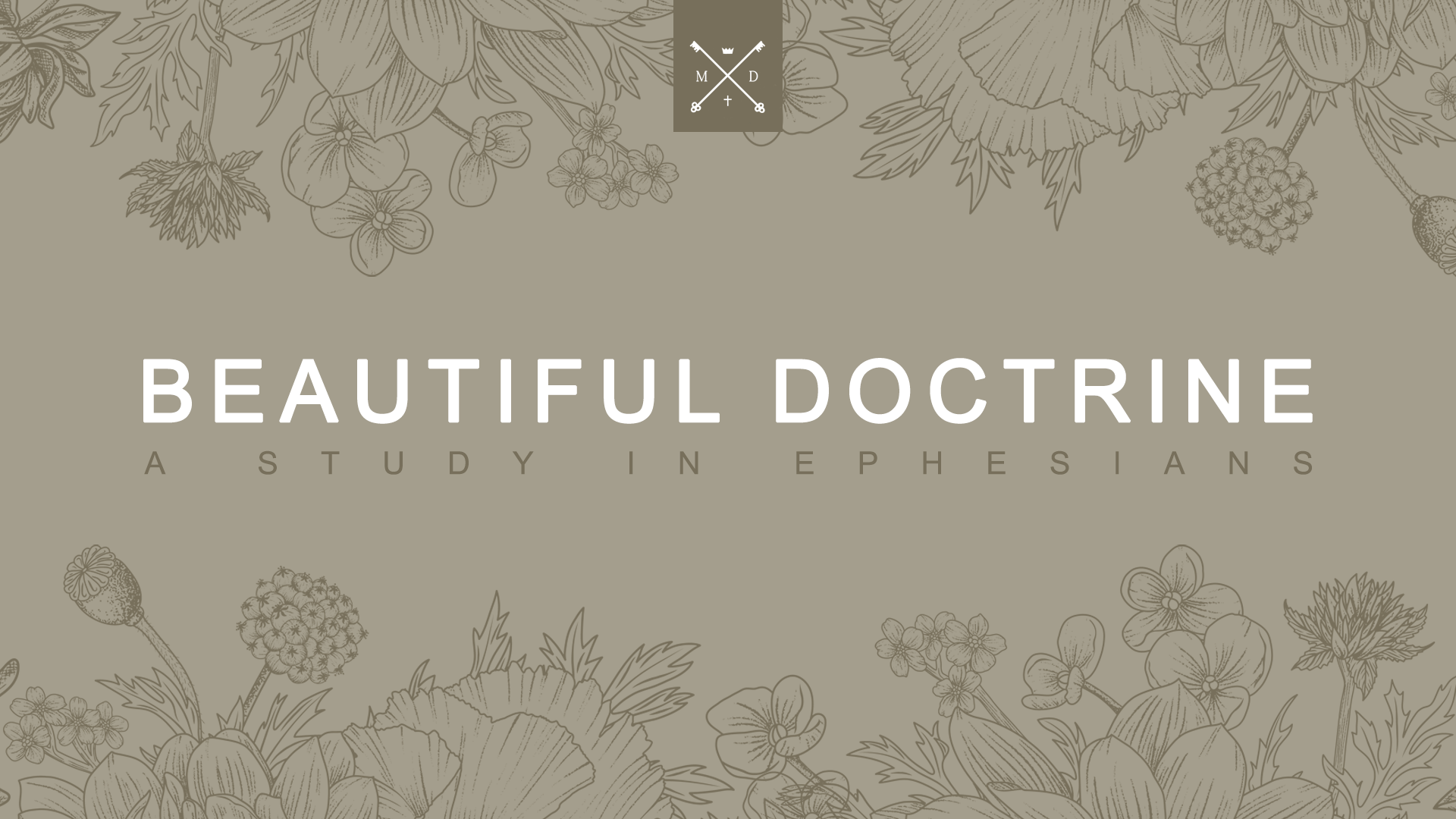 Ephesians Beautiful Doctrine slide 8.png
