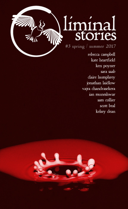 issue 3 - spring / summer 2017