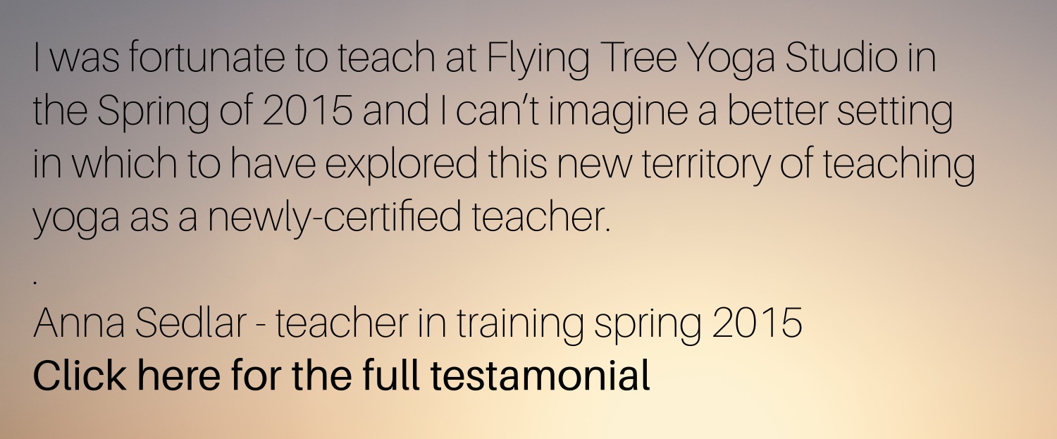 yoga interships work teacher training colombia testimonial anna 2_mini.jpg