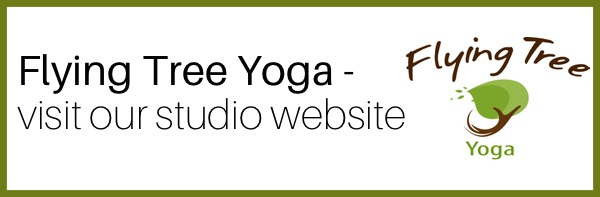 Yoga Internship Program, Medellín, Colombia, South America - teach and work in a yoga studio - flying tree