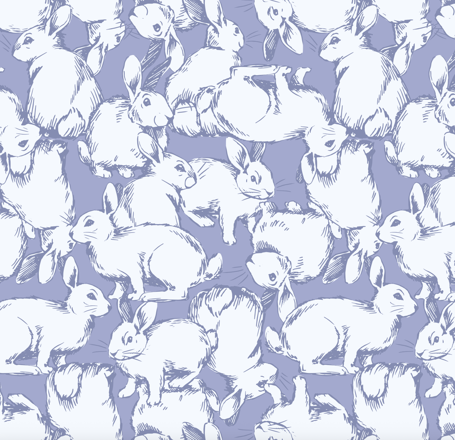 Screenshot 2026-02-24 at 7.51.26 PM.png