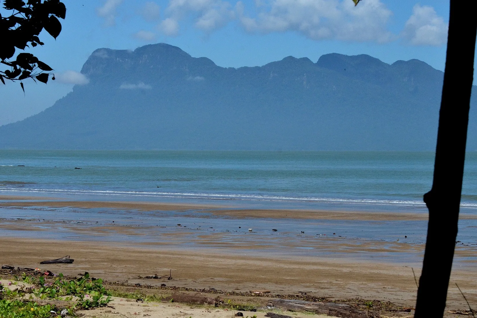 Where Jungle and Ocean Meet