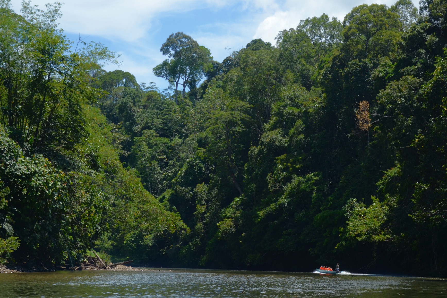 Temburong River, Brunei