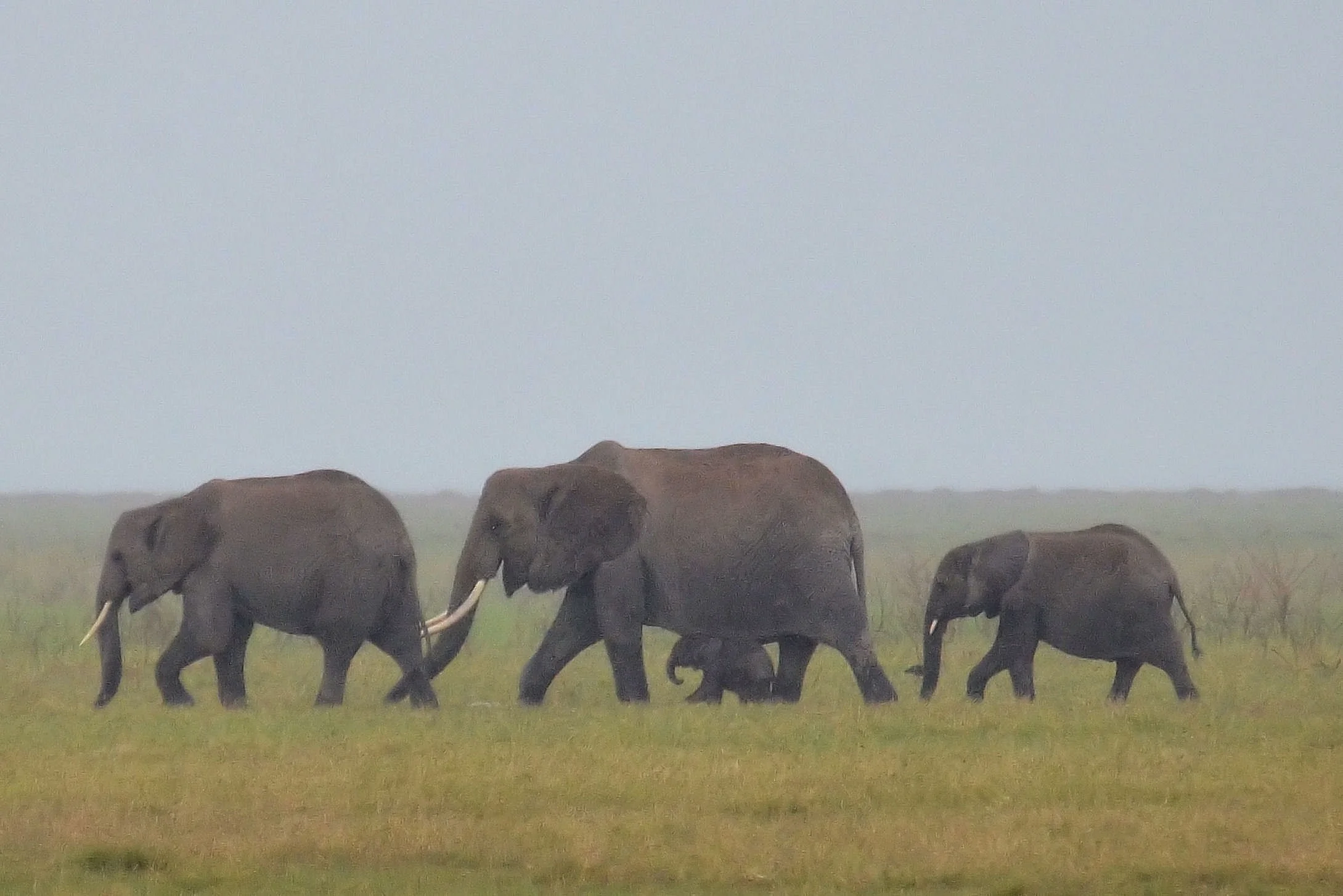Family Outing