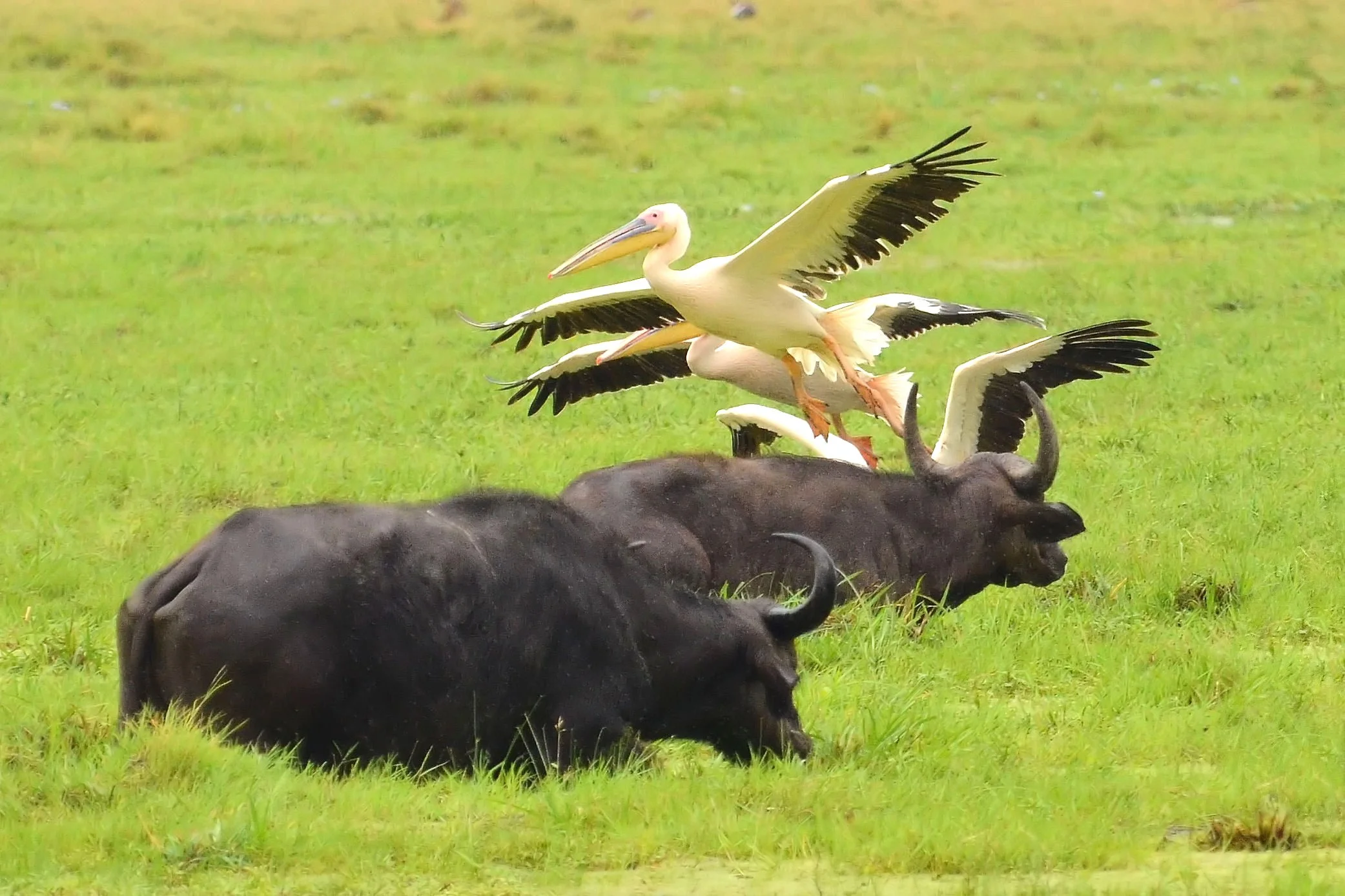 Landing Approach