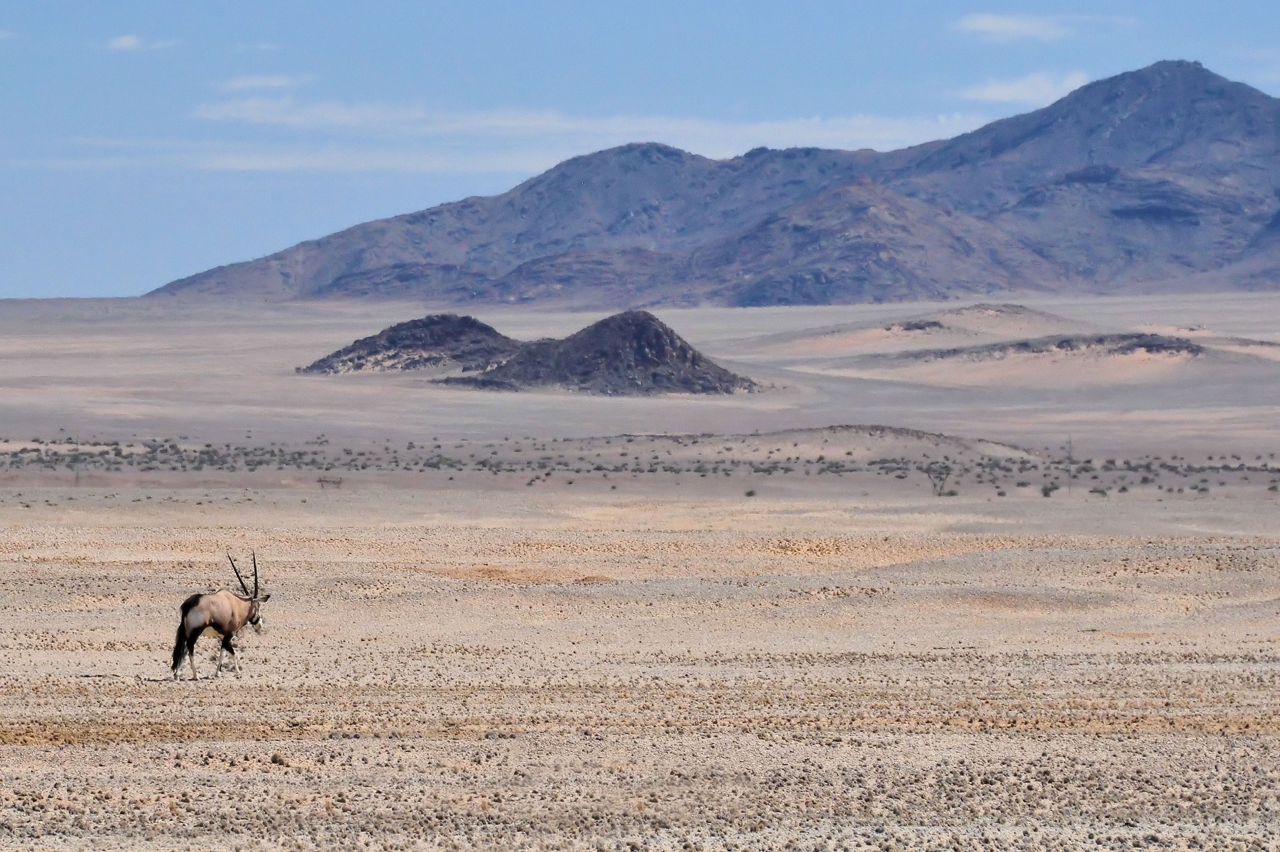 Namib Desert