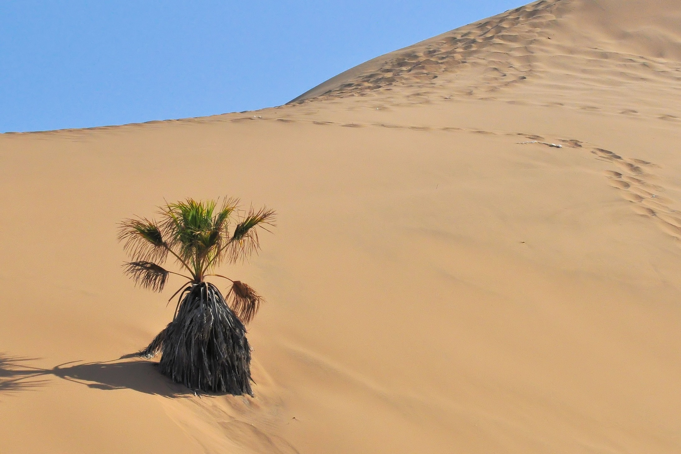 Dune 7, Walvis Bay, Namibia