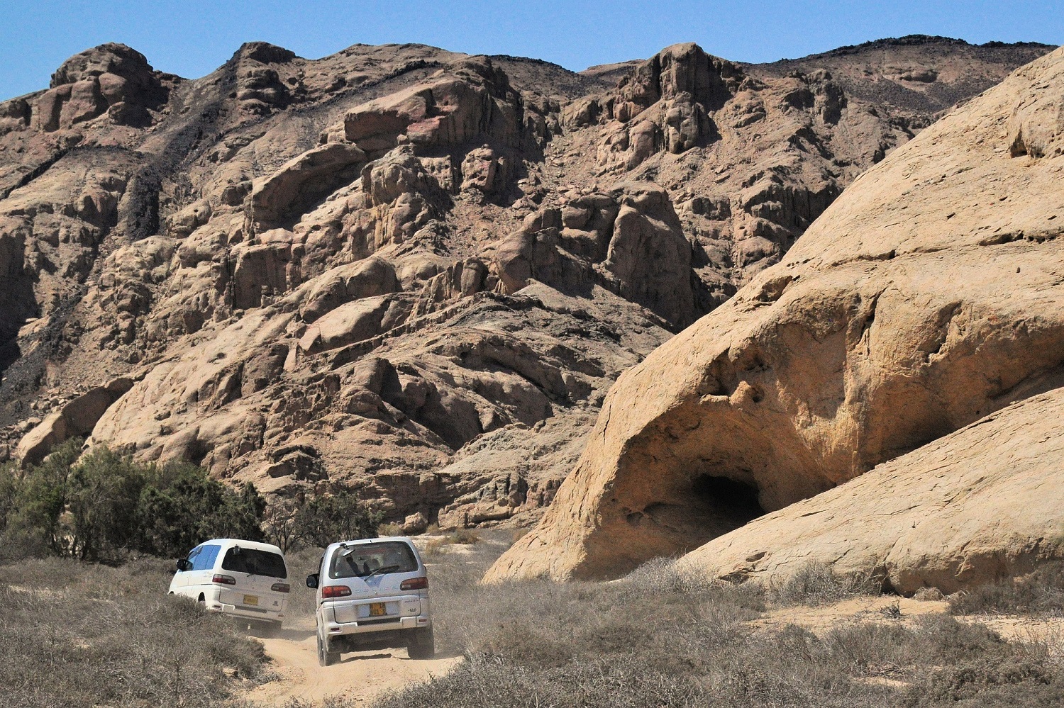 Rush Hour In The Namib