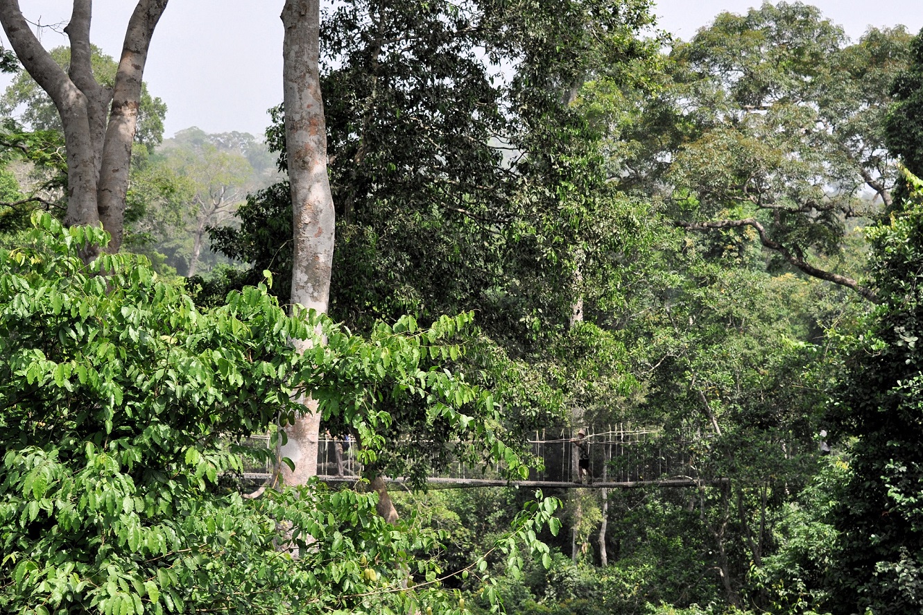 Kakum National Park, Ghana