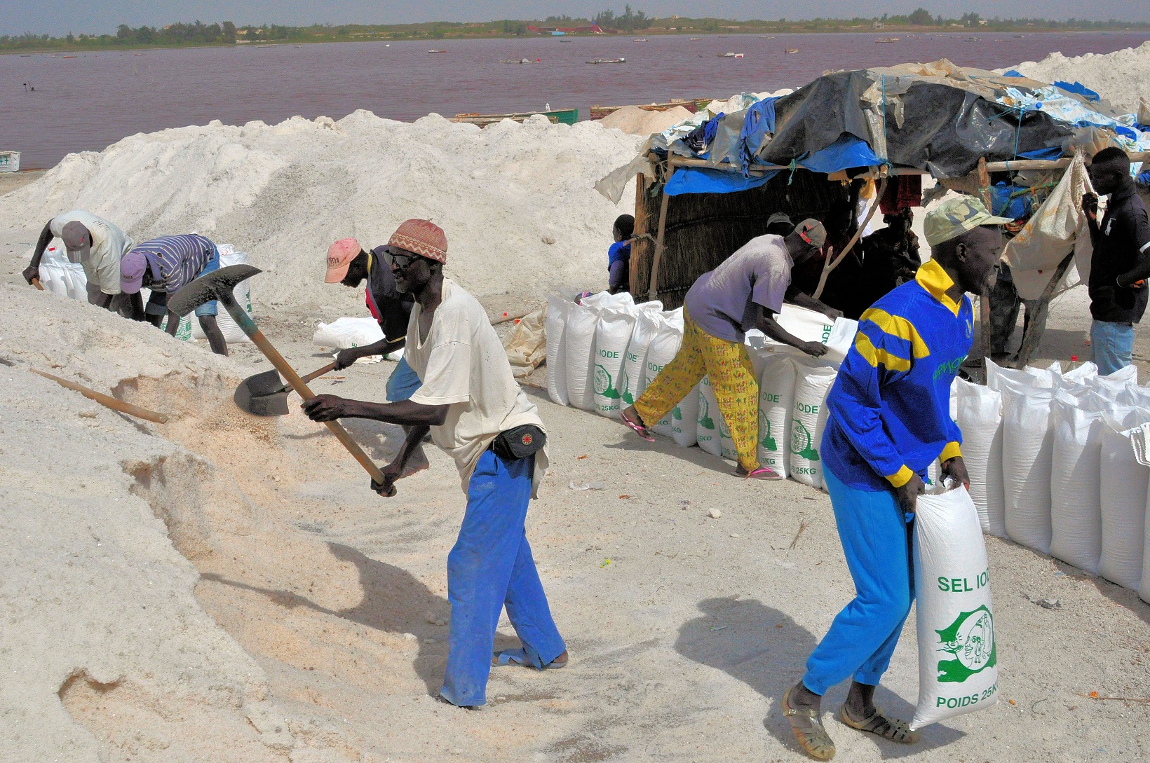 Bagging The Salt