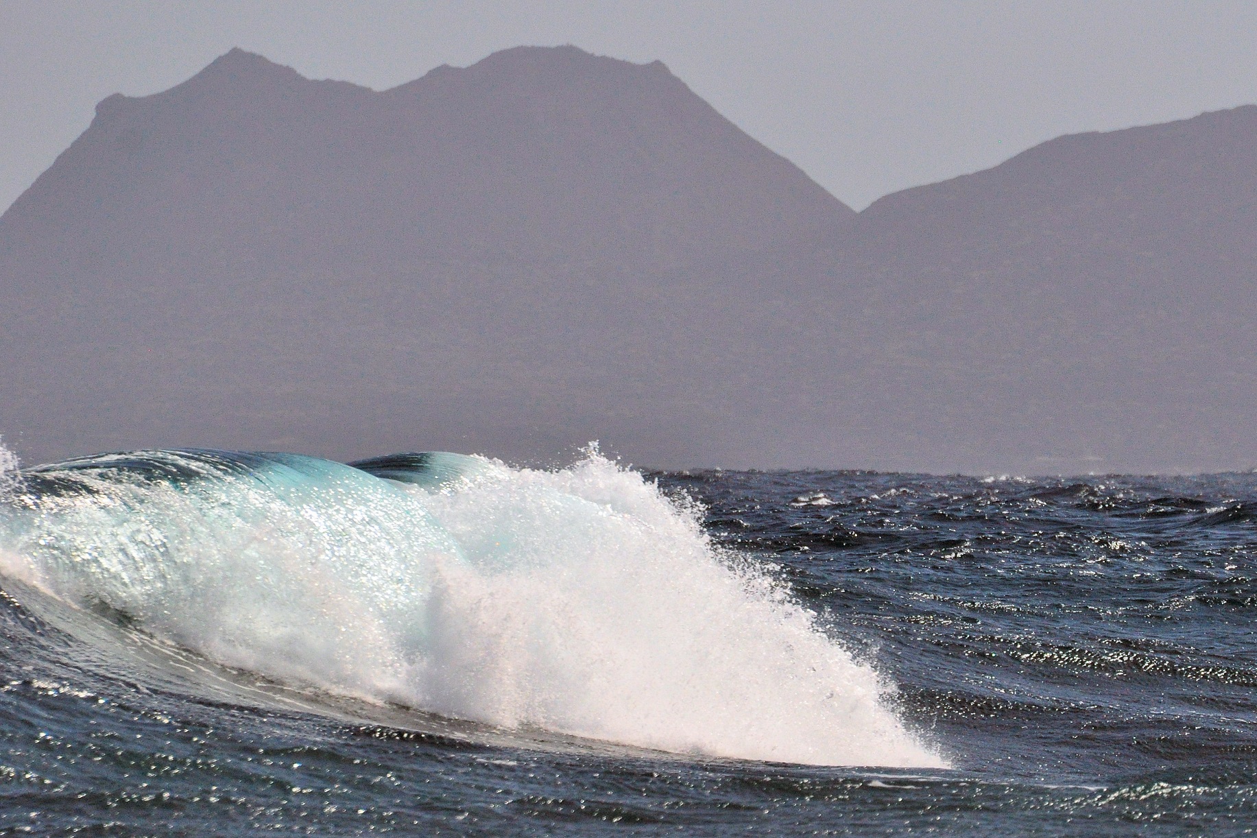 Surf