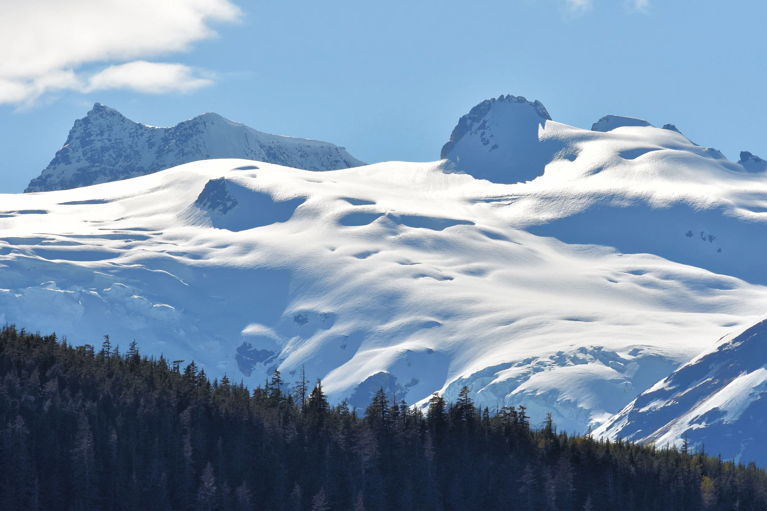 DSC_1163.JPG