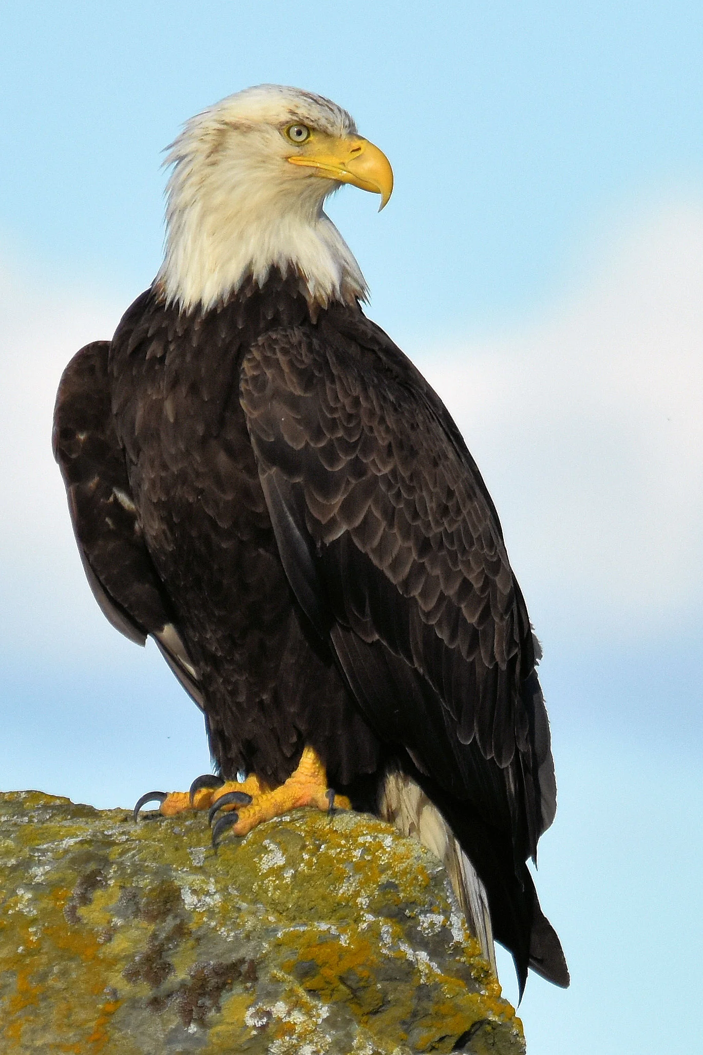DSC_1388b.jpg