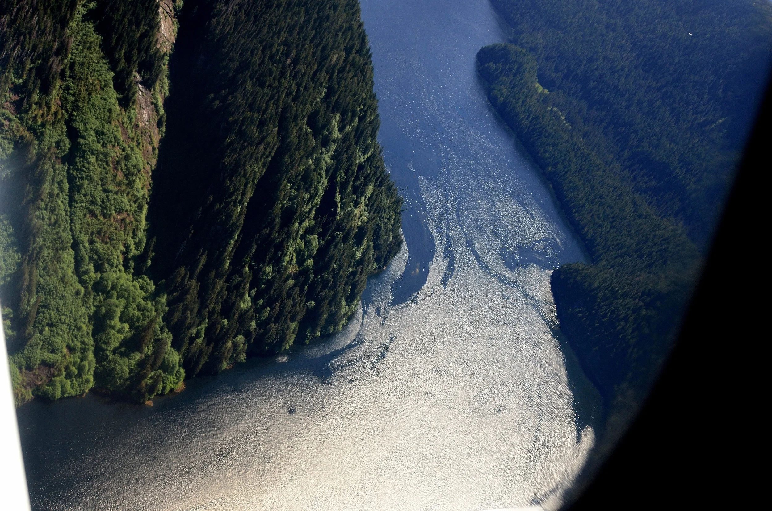 Misty Fjords II - Ketchikan.JPG