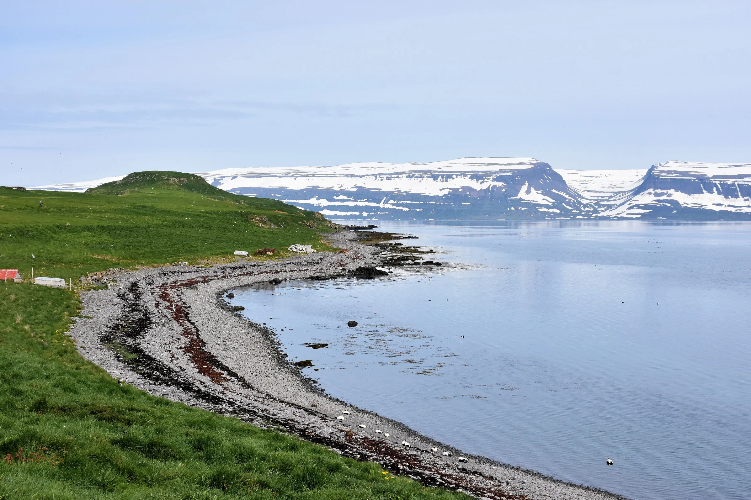 Vigur Island, Westfjords, Iceland