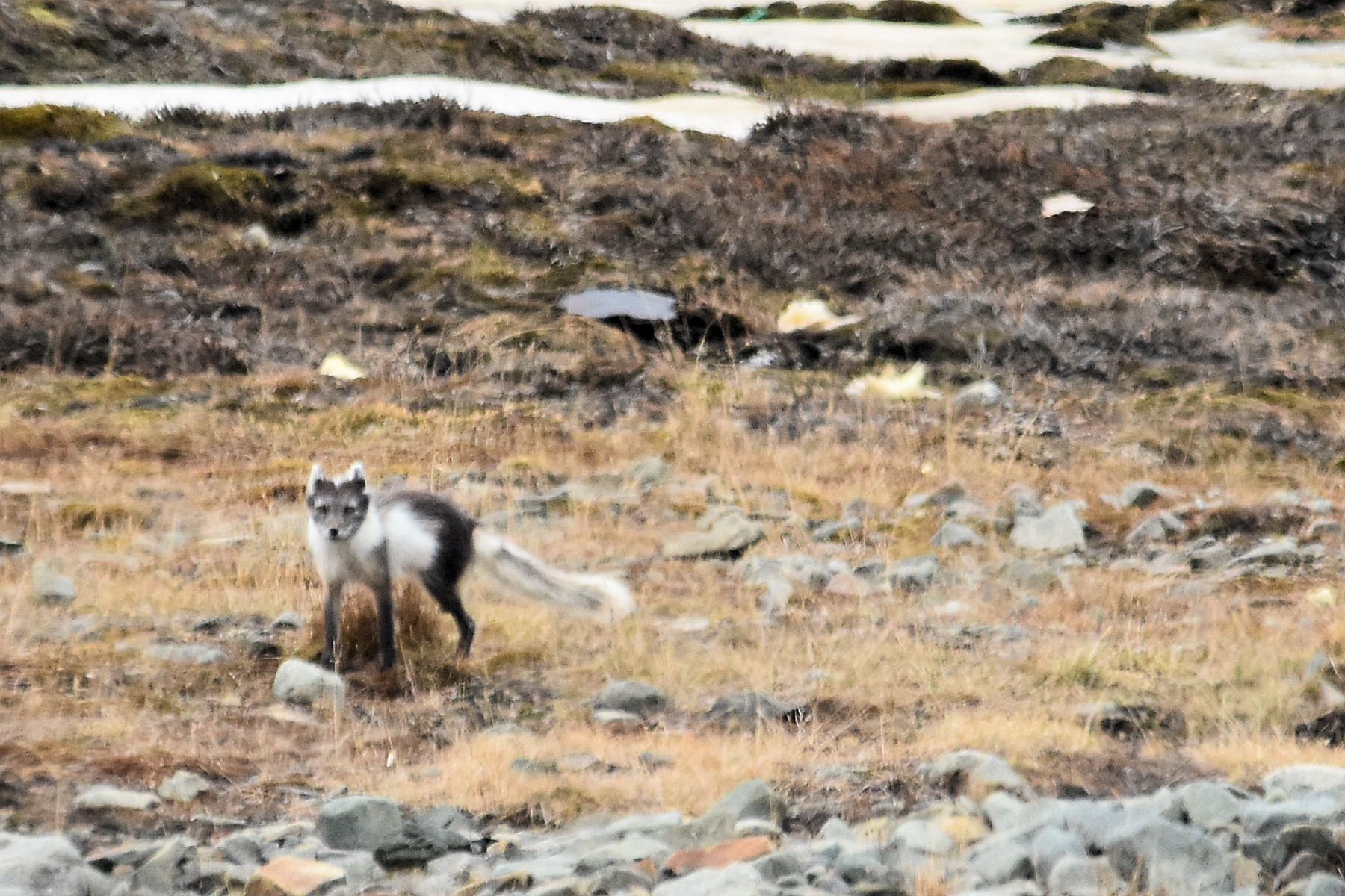 Longyearbyen, Svalbard, Norway