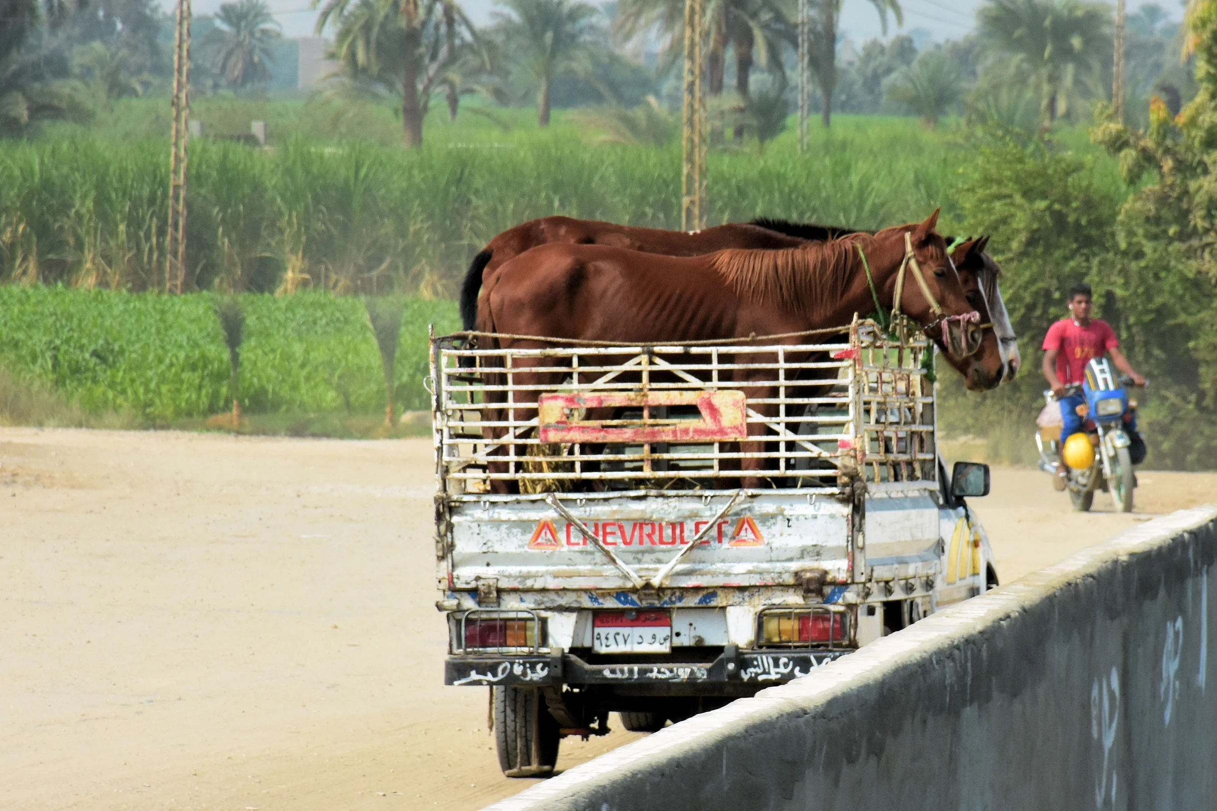 Qena, Egypt