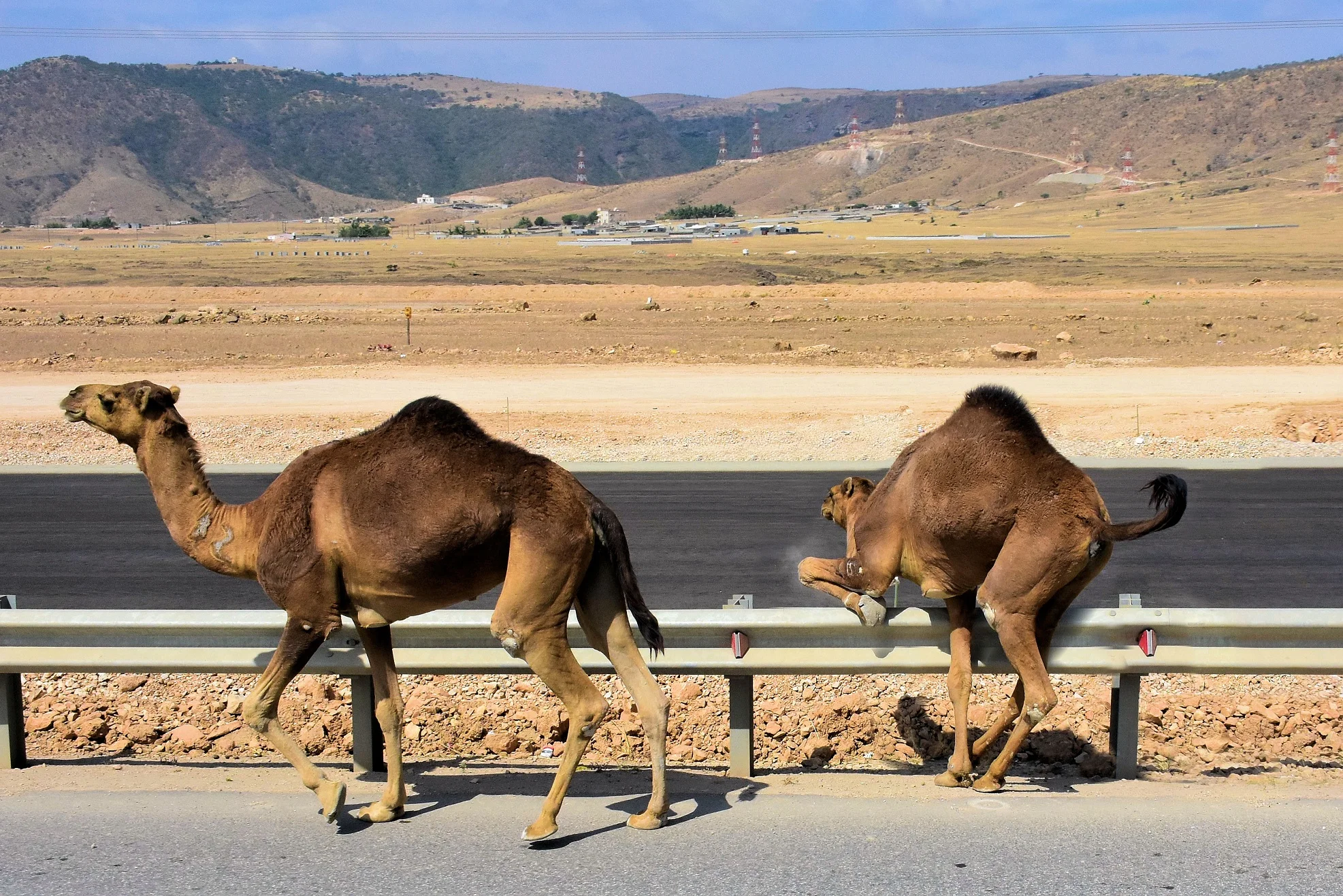 Salalah, Oman